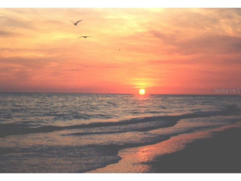 8607 50th Avenue W Bradenton FL 34210 A4670602 image97