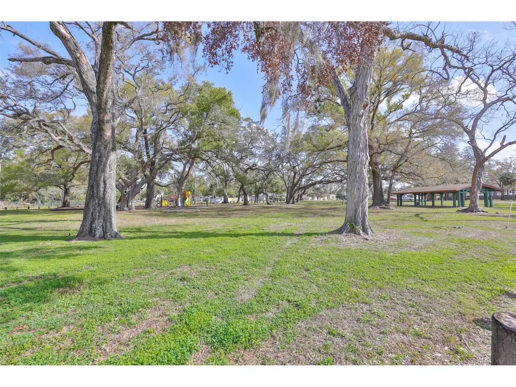 8607 N Taliaferro Avenue Tampa FL 33604 TB8483525 image34