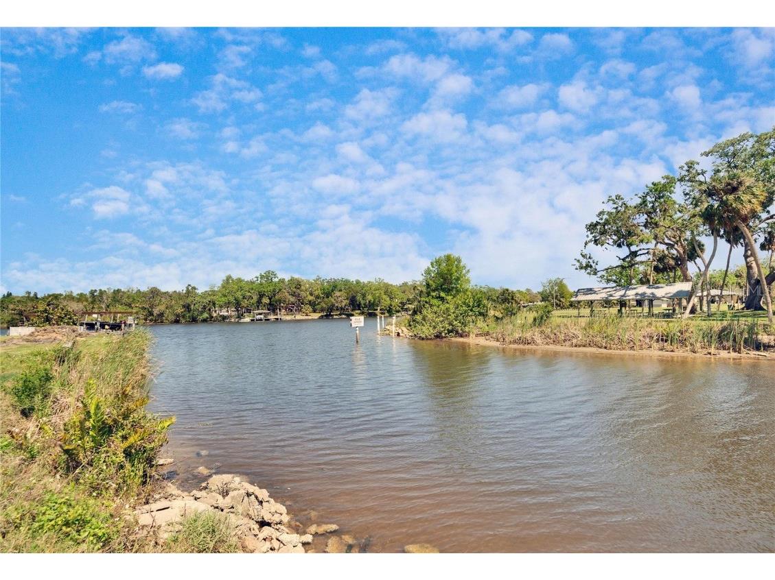 8607 Parkway Circle Riverview FL 33569 TB8391471 image19