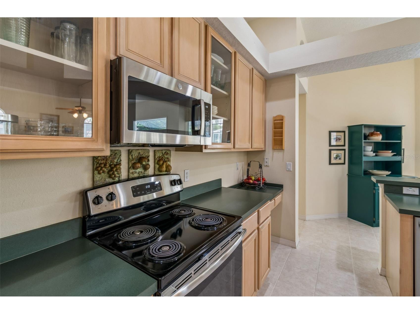 8607 Terrace Pines Court Orlando FL 32836 O6401920 image12