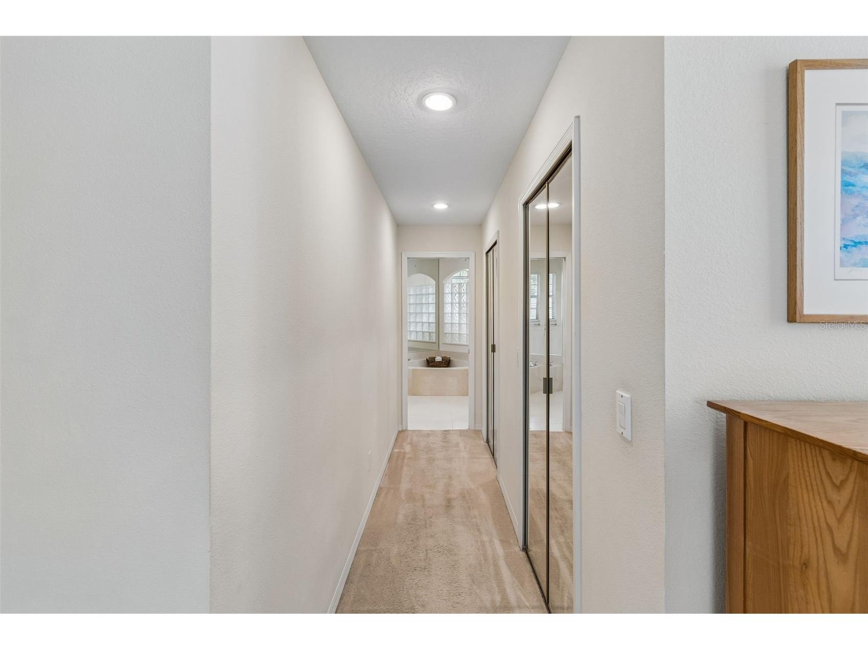 8607 Terrace Pines Court Orlando FL 32836 O6401920 image22