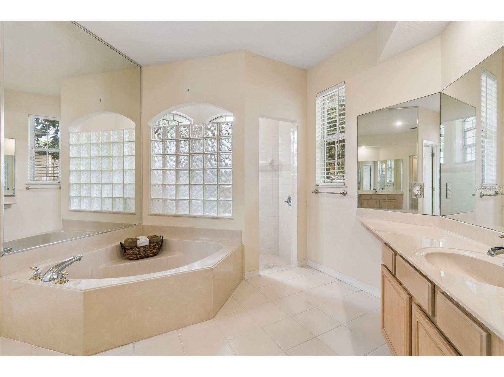 8607 Terrace Pines Court Orlando FL 32836 O6401920 image25