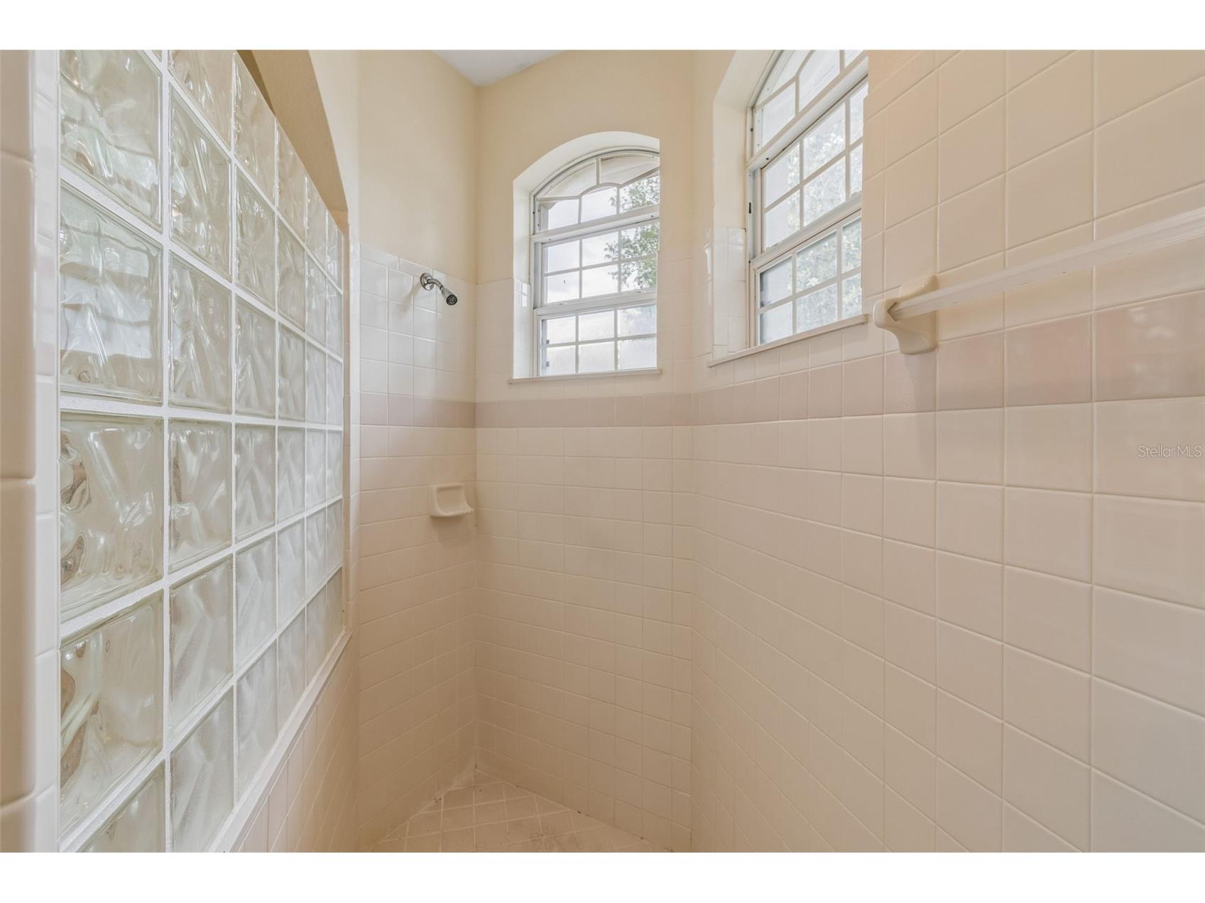 8607 Terrace Pines Court Orlando FL 32836 O6401920 image27