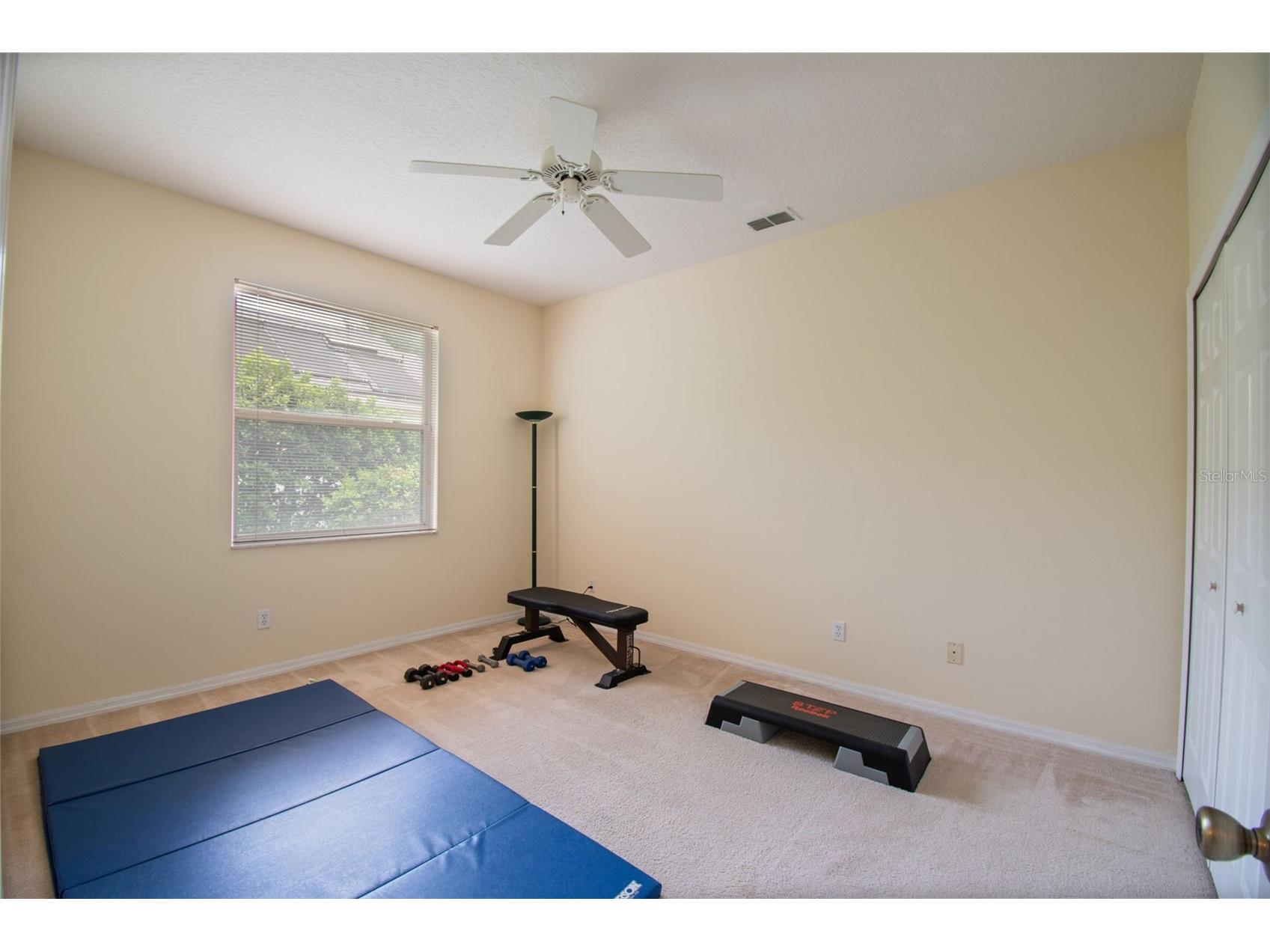 8607 Terrace Pines Court Orlando FL 32836 O6401920 image29