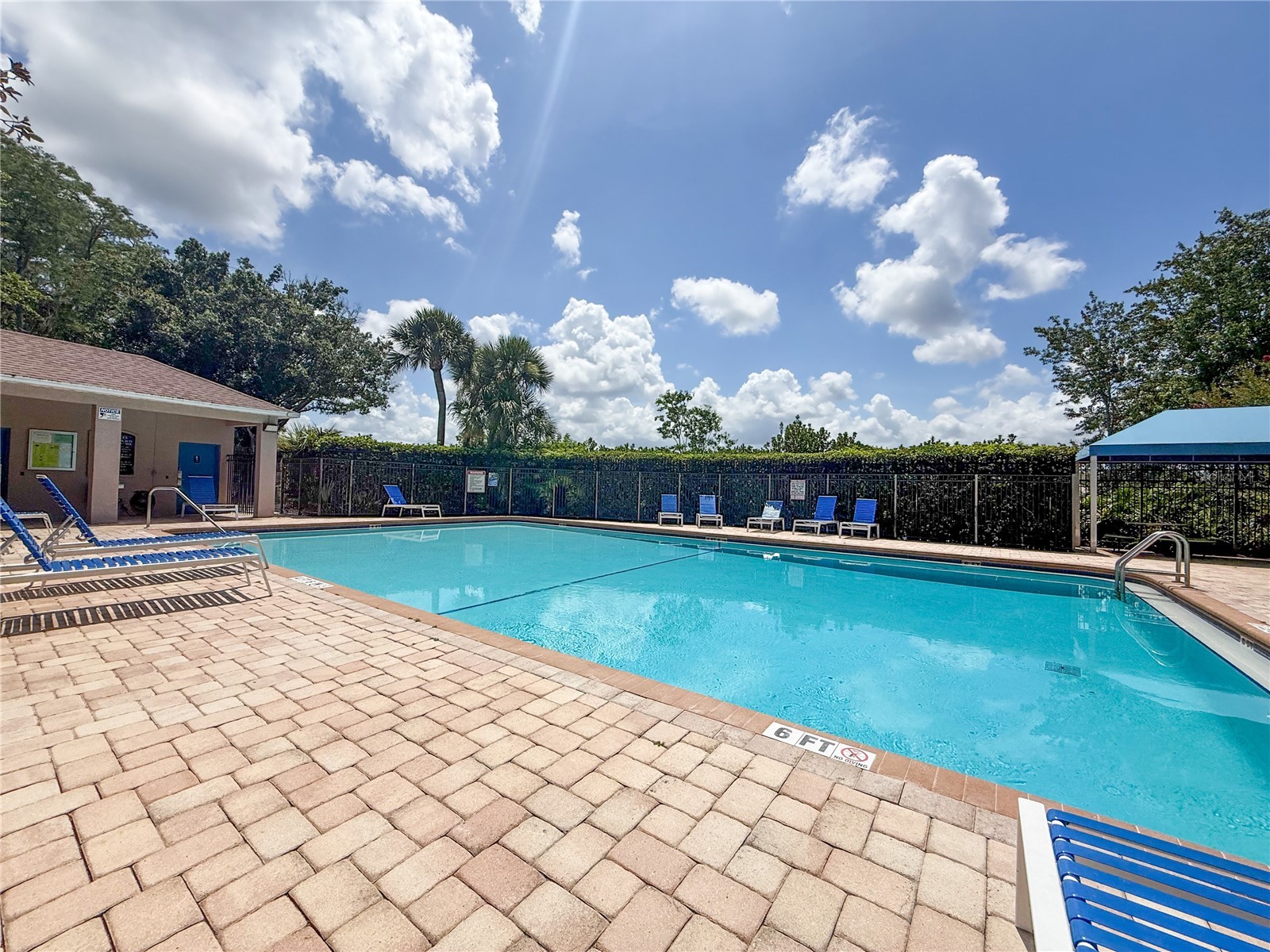 8608 Fawn Creek Drive Tampa FL 33626 TB8516417 image48