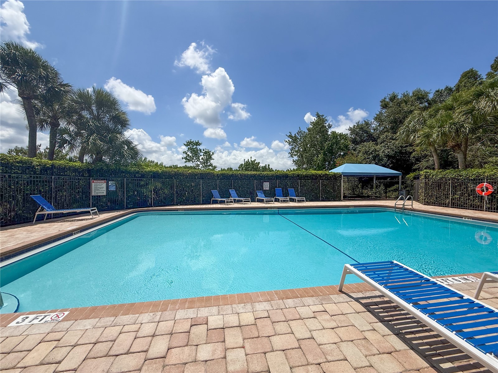 8608 Fawn Creek Drive Tampa FL 33626 TB8516417 image49