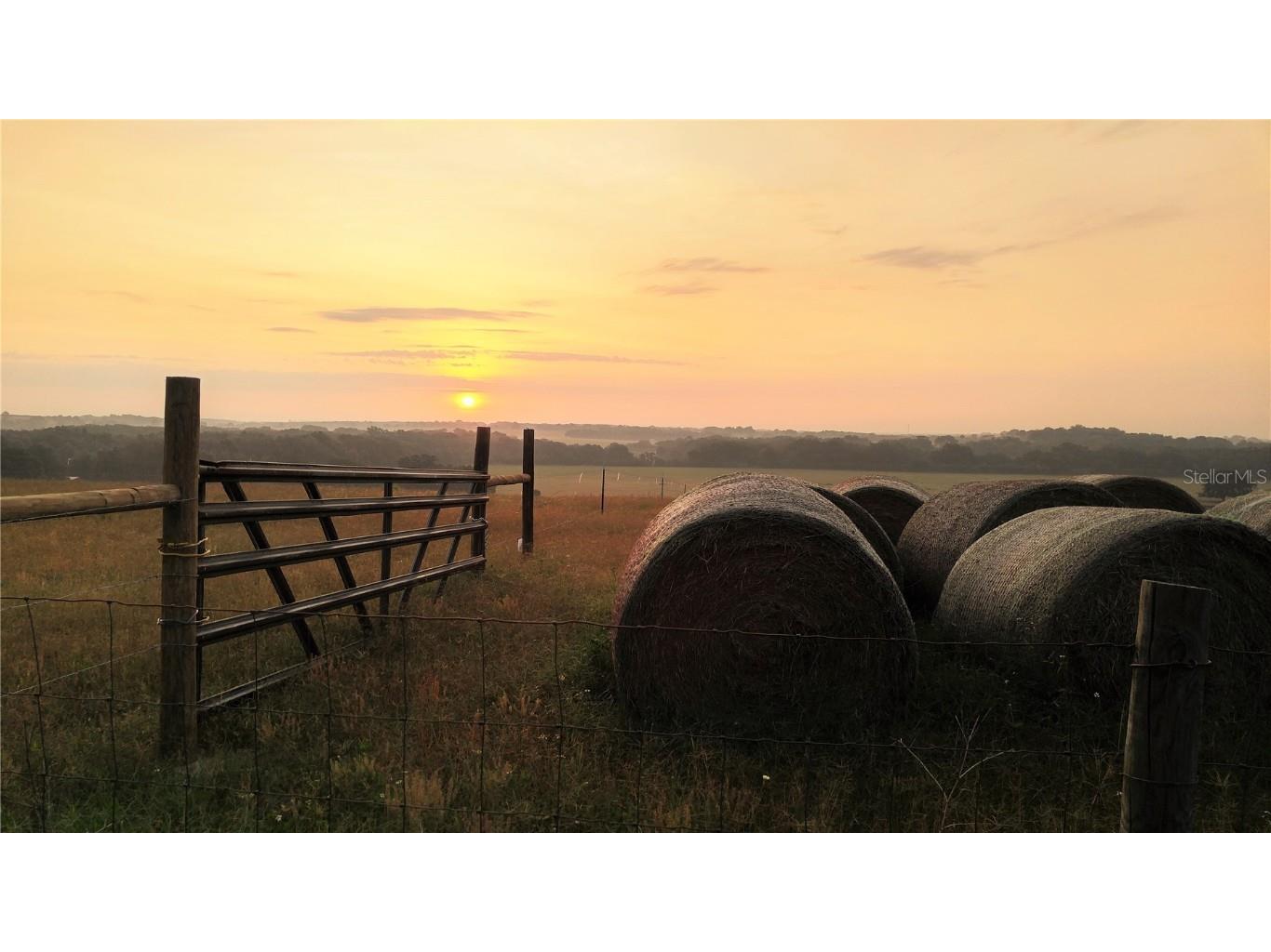 8608 Gall Boulevard Zephyrhills FL 33541 TB8402372 image2