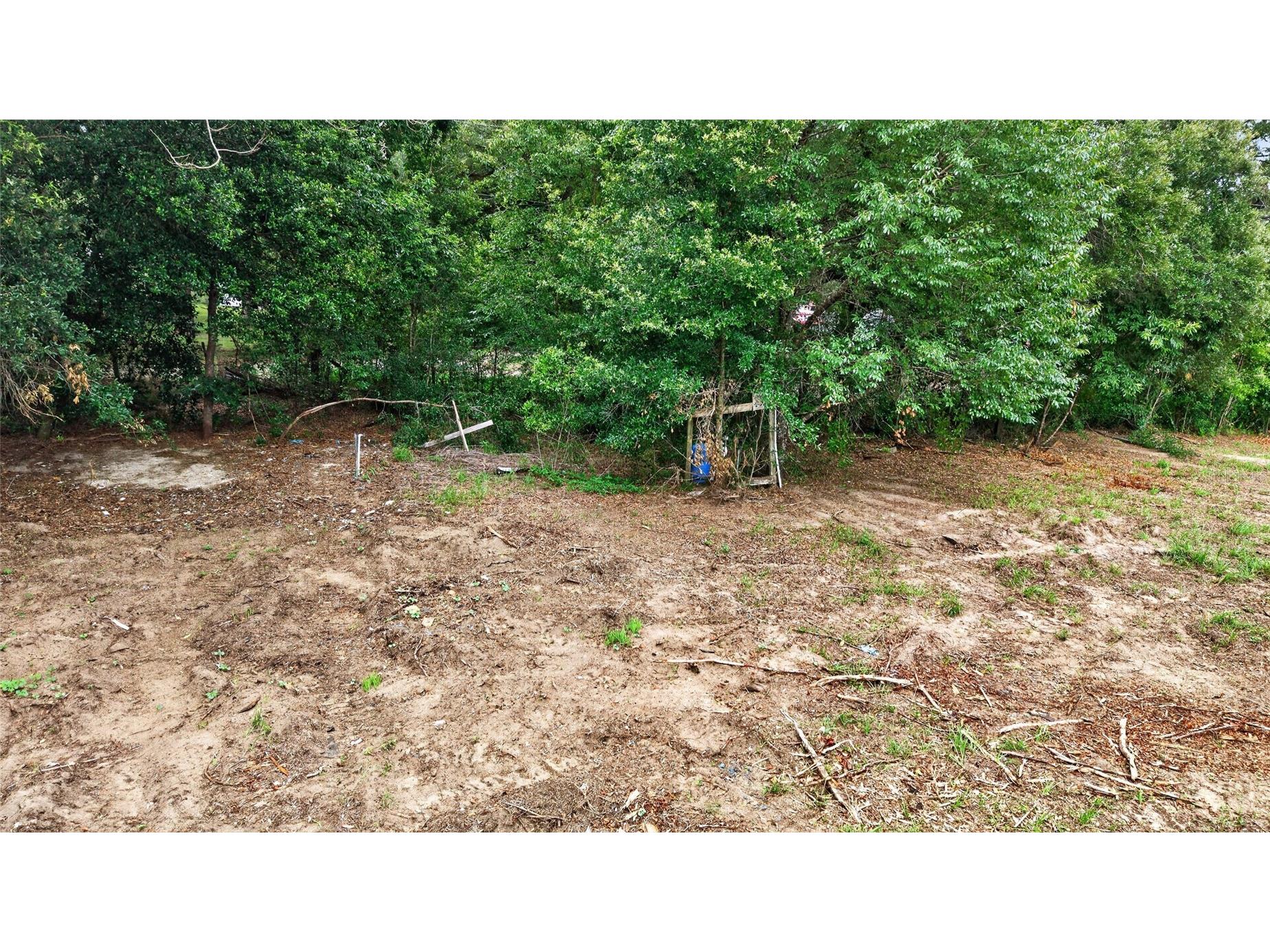 8608 Hamster Drive Zephyrhills FL 33540 TB8519212 image10