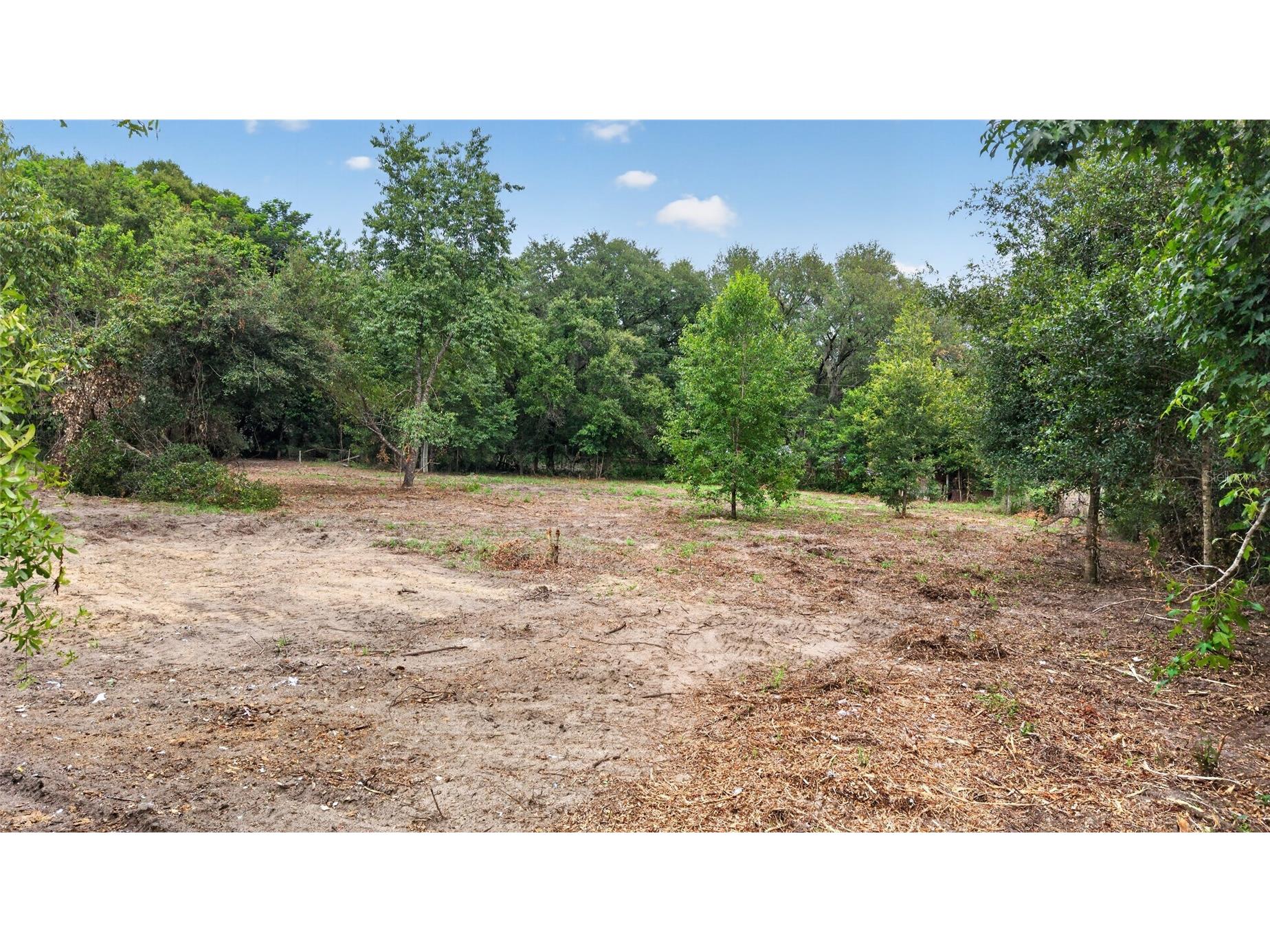 8608 Hamster Drive Zephyrhills FL 33540 TB8519212 image12