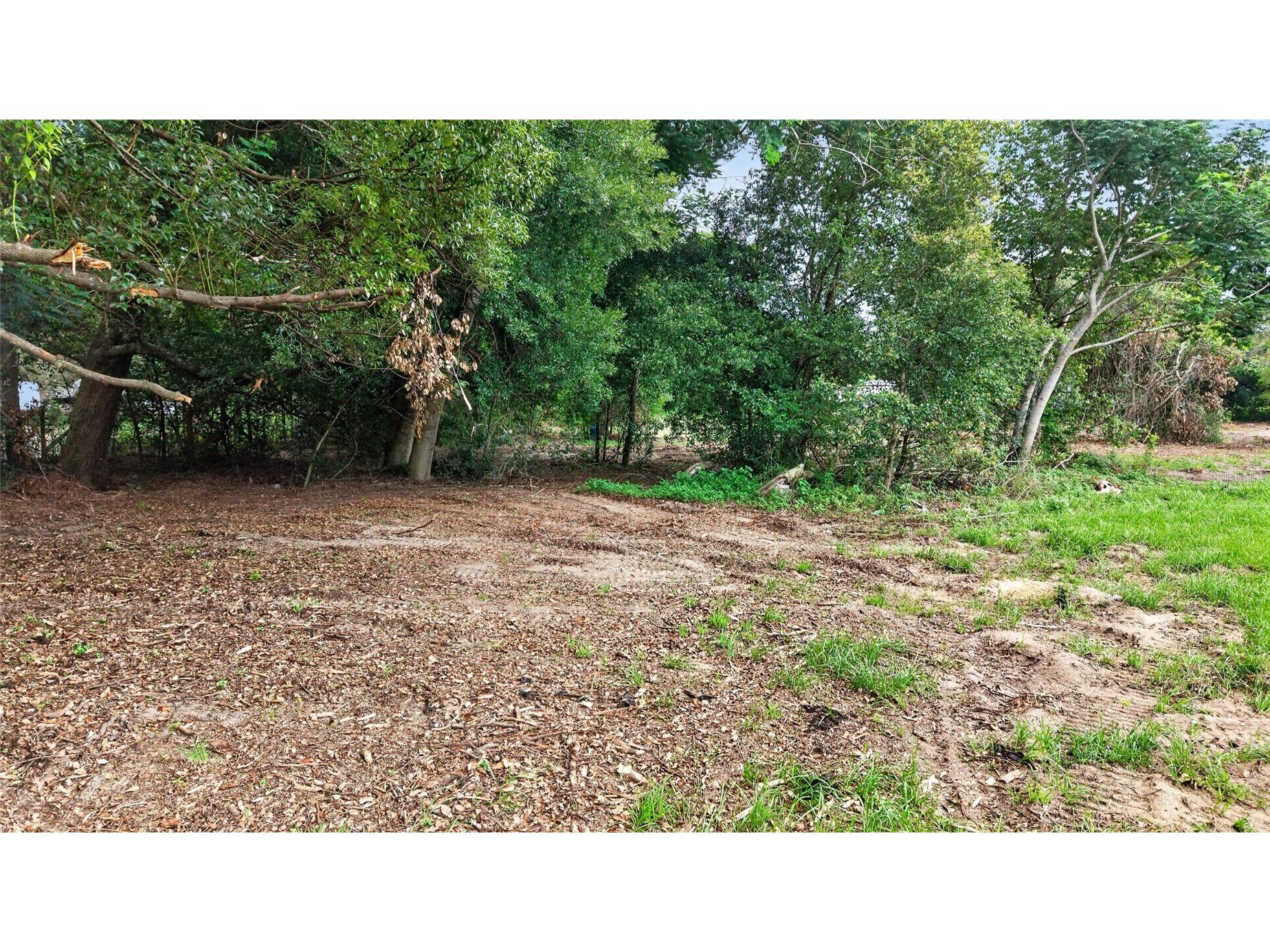 8608 Hamster Drive Zephyrhills FL 33540 TB8519212 image13