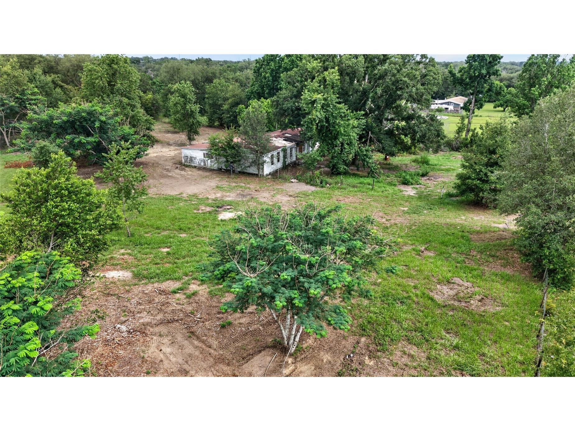 8608 Hamster Drive Zephyrhills FL 33540 TB8519212 image16
