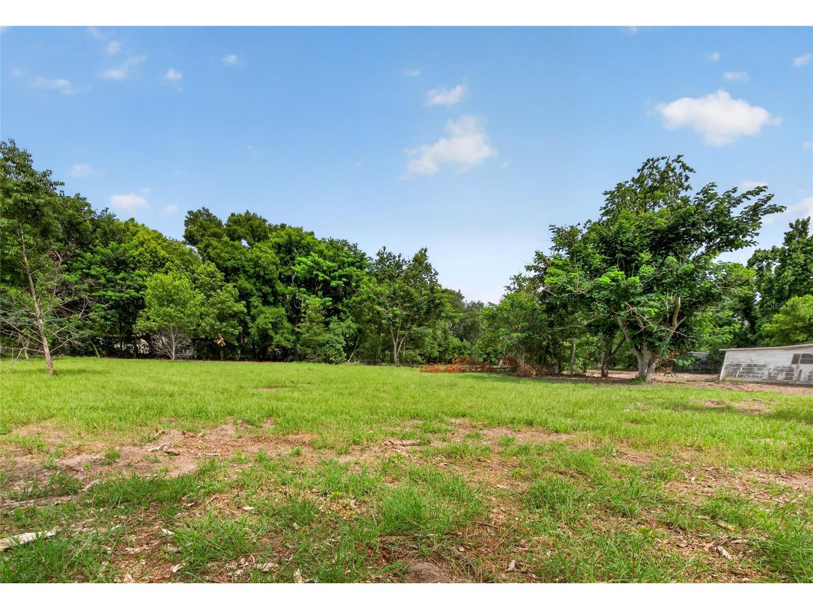 8608 Hamster Drive Zephyrhills FL 33540 TB8519212 image19