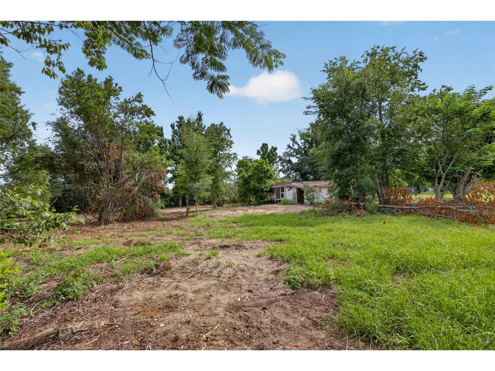 8608 Hamster Drive Zephyrhills FL 33540 TB8519212 image20
