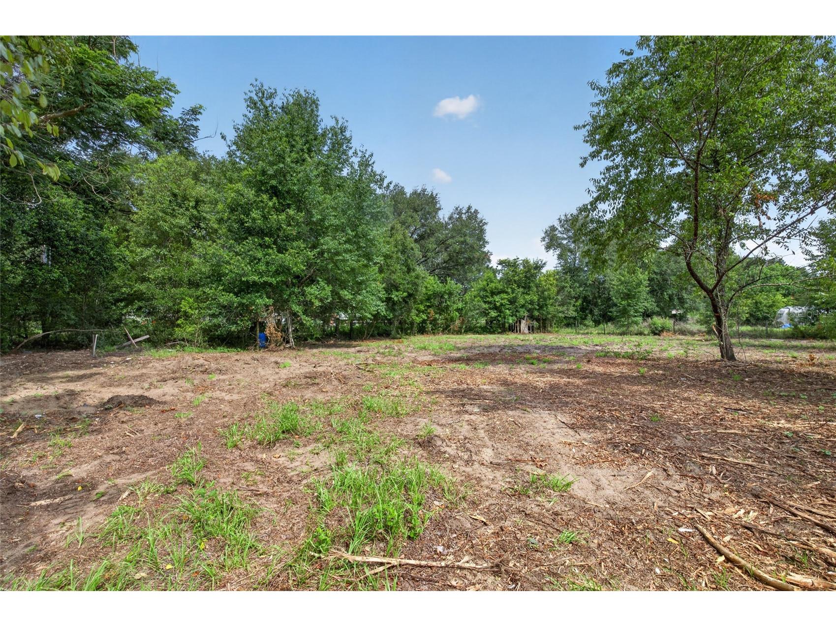 8608 Hamster Drive Zephyrhills FL 33540 TB8519212 image21