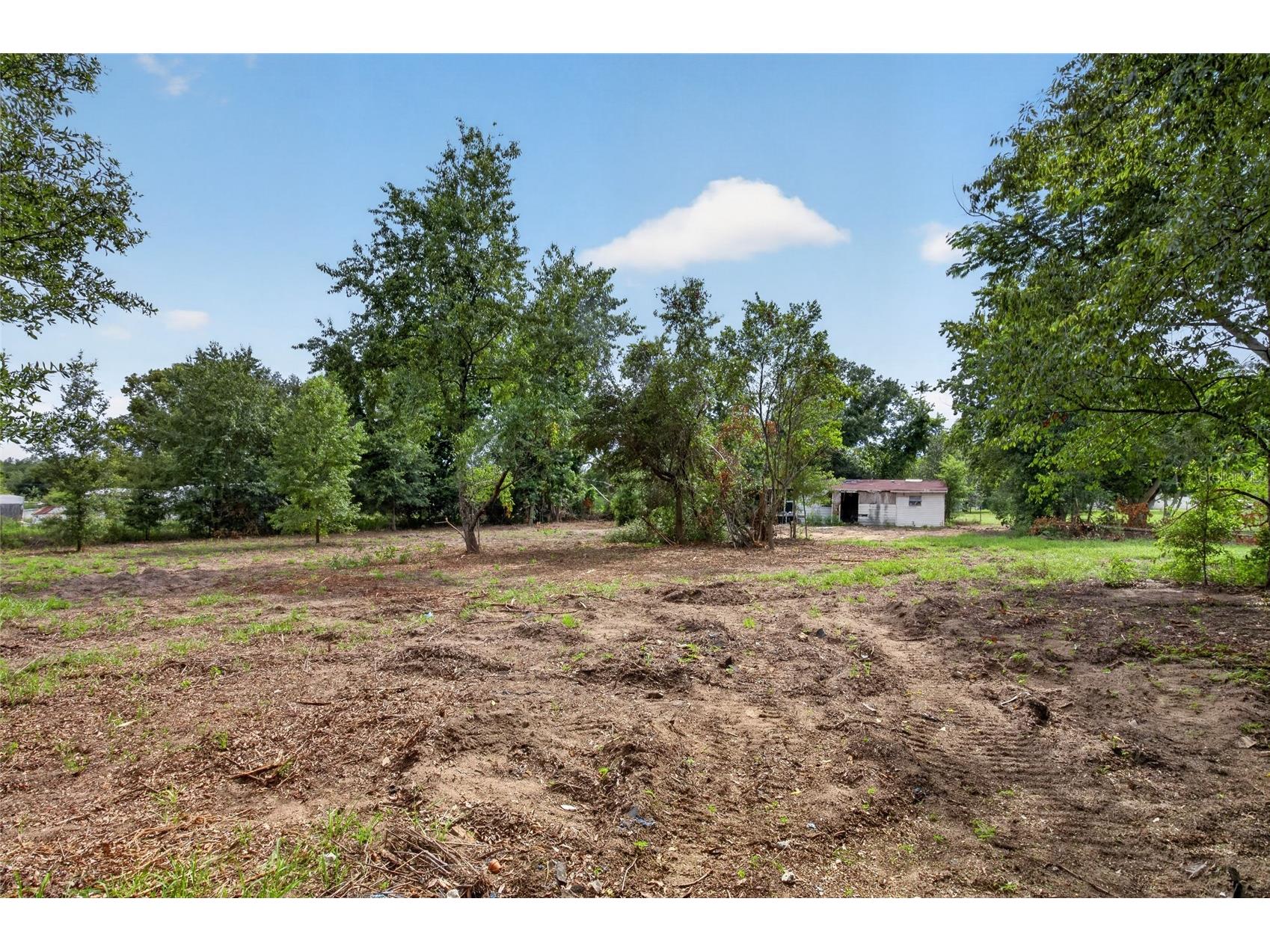 8608 Hamster Drive Zephyrhills FL 33540 TB8519212 image22