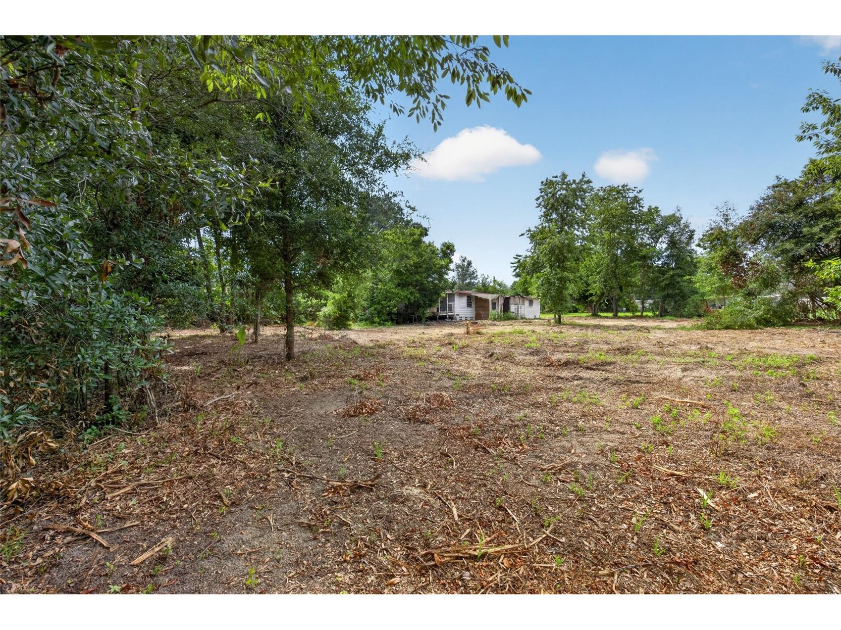 8608 Hamster Drive Zephyrhills FL 33540 TB8519212 image23