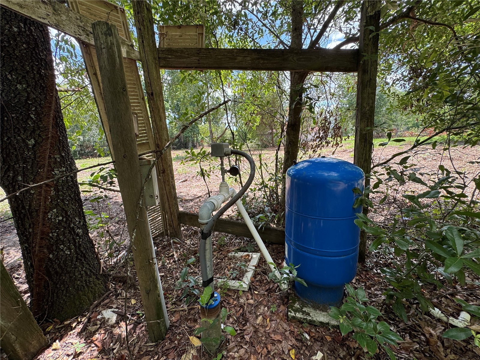 8608 Hamster Drive Zephyrhills FL 33540 TB8519212 image28