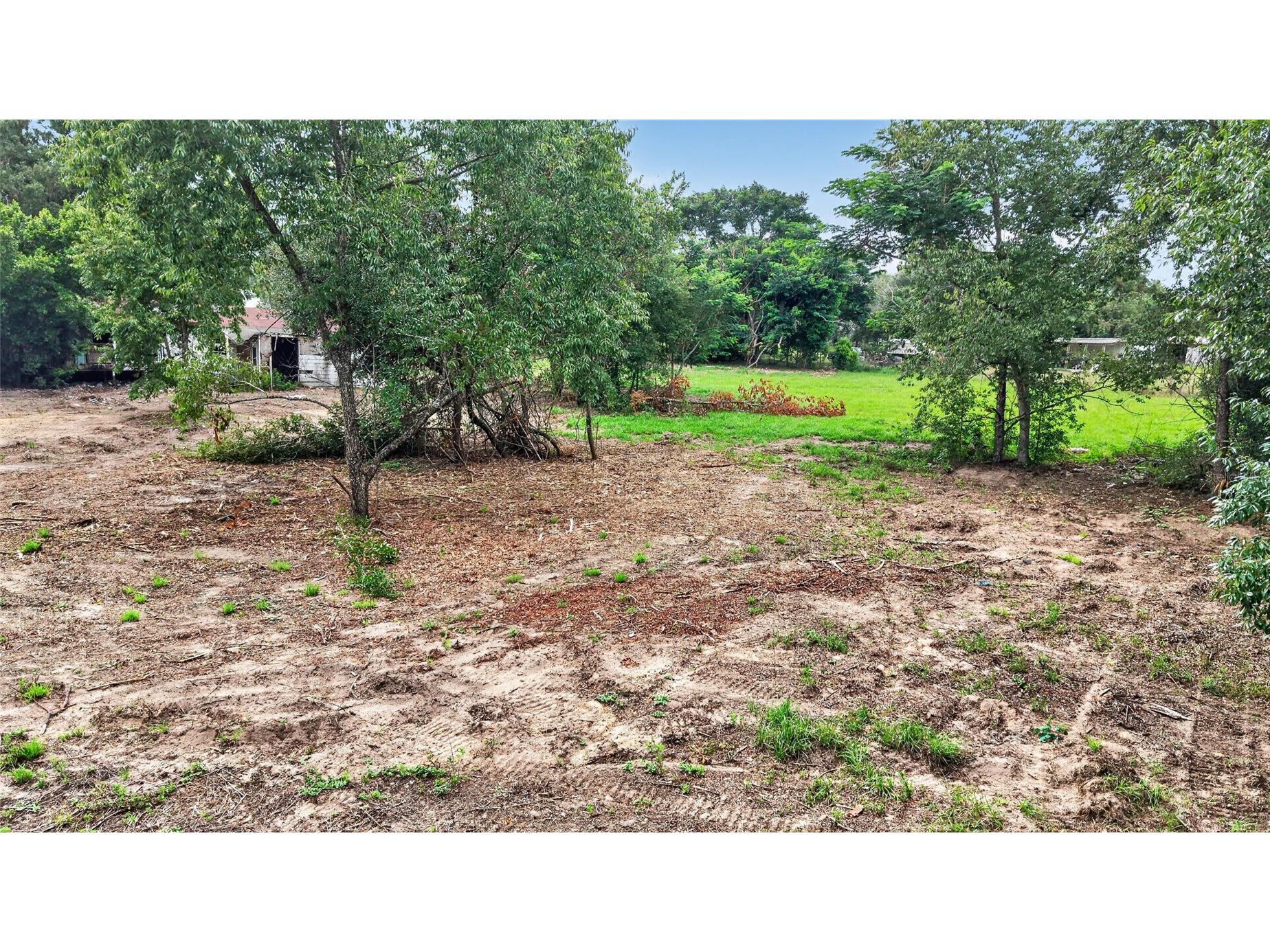8608 Hamster Drive Zephyrhills FL 33540 TB8519212 image7