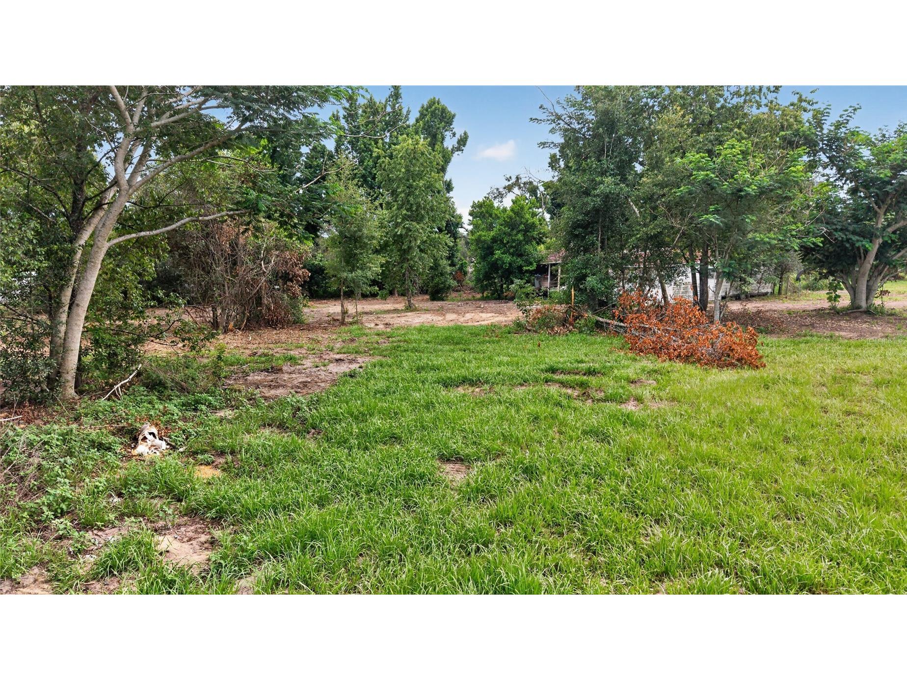 8608 Hamster Drive Zephyrhills FL 33540 TB8519212 image9