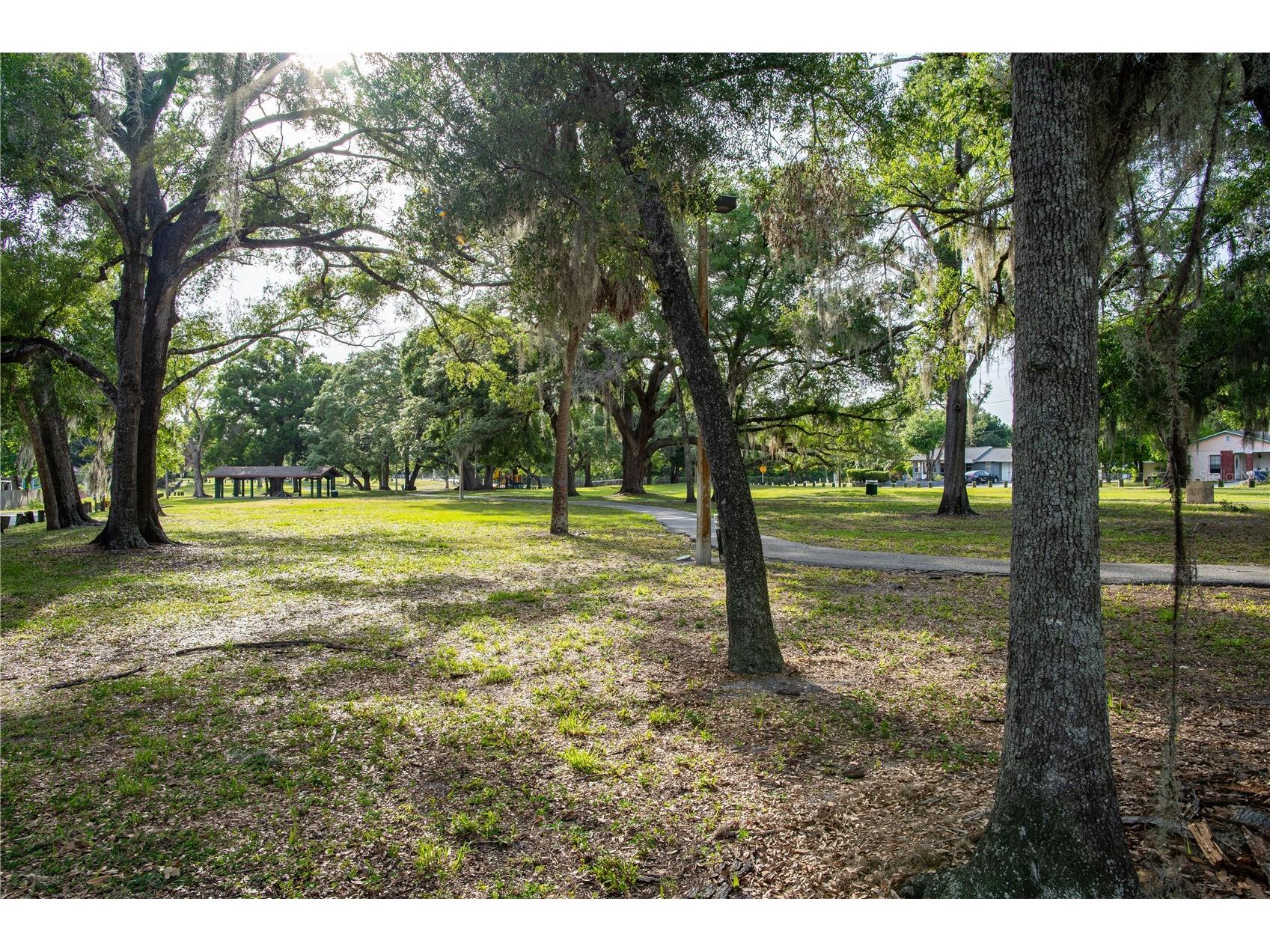 8608 N Mitchell Avenue Tampa FL 33604 TB8527285 image37
