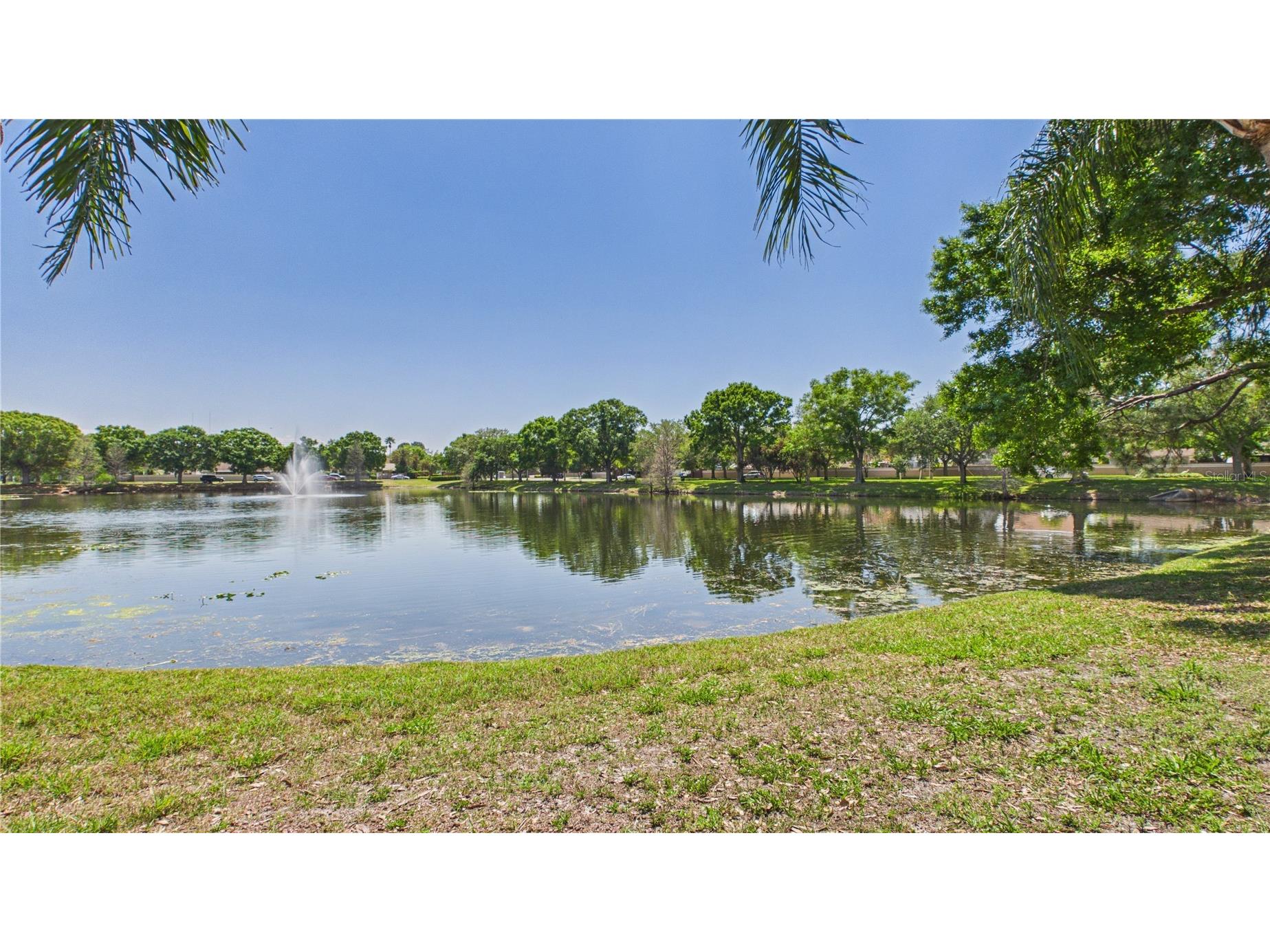 8609 Boysenberry Drive Tampa FL 33635 TB8494955 image44