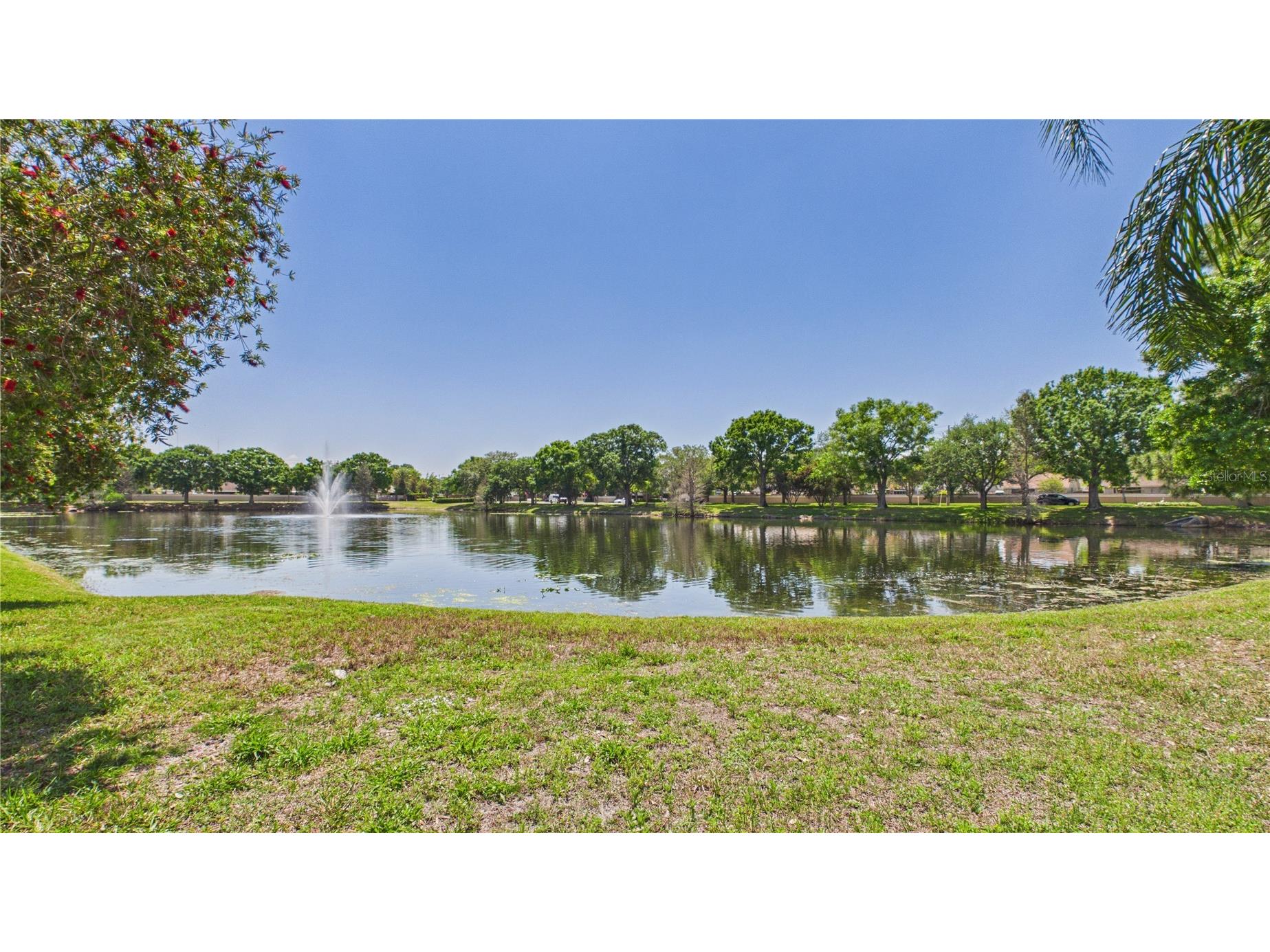 8609 Boysenberry Drive Tampa FL 33635 TB8494955 image45