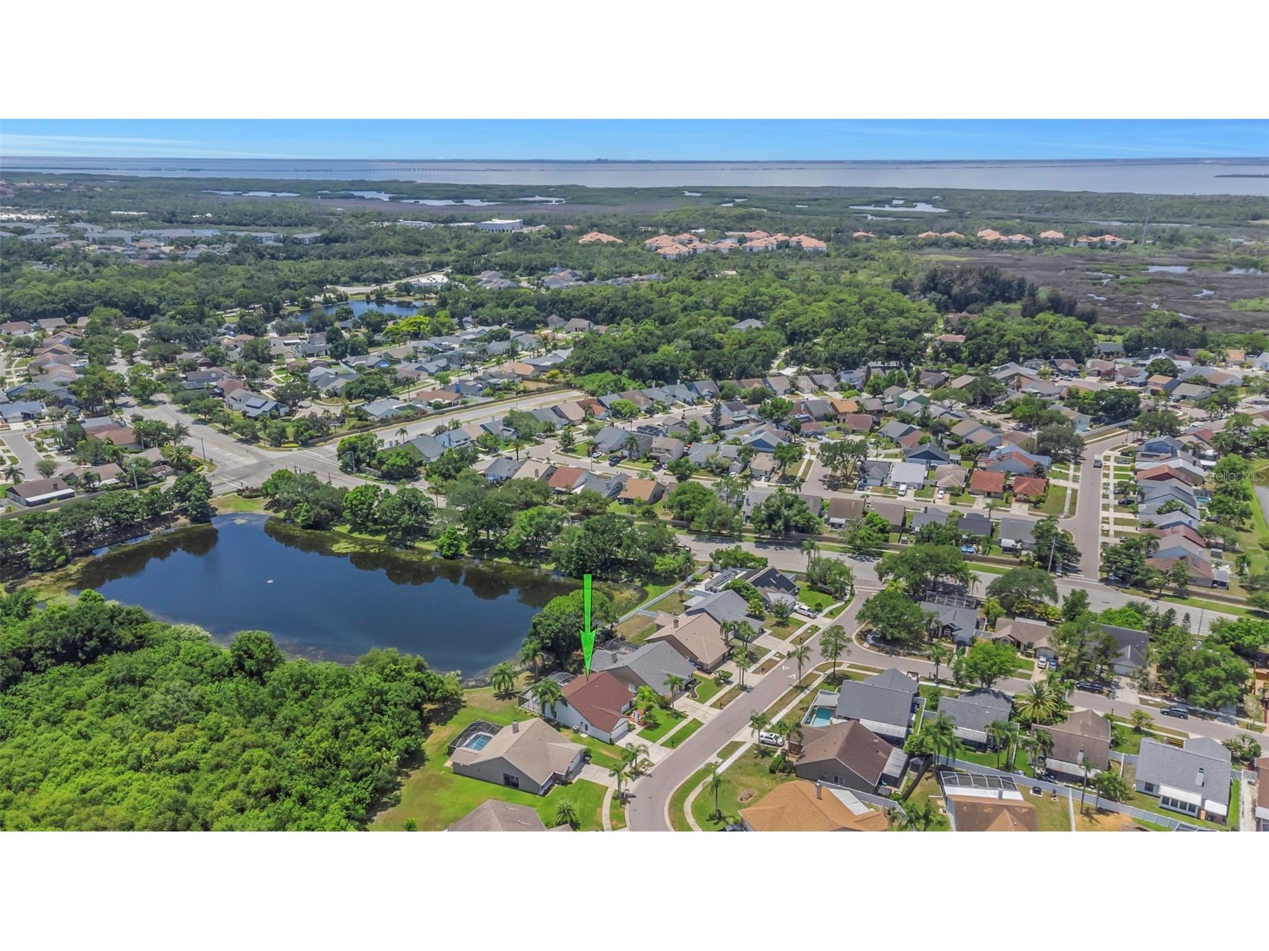 8609 Boysenberry Drive Tampa FL 33635 TB8494955 image49