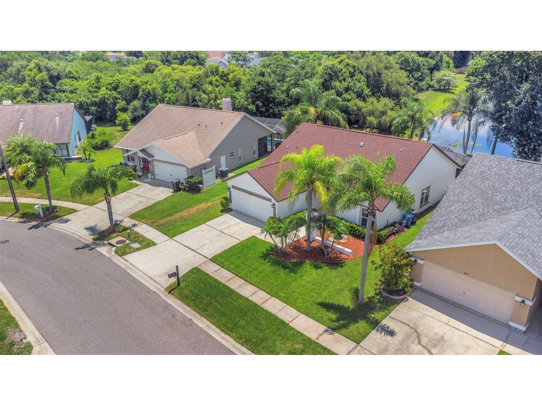 8609 Boysenberry Drive Tampa FL 33635 TB8494955 image6