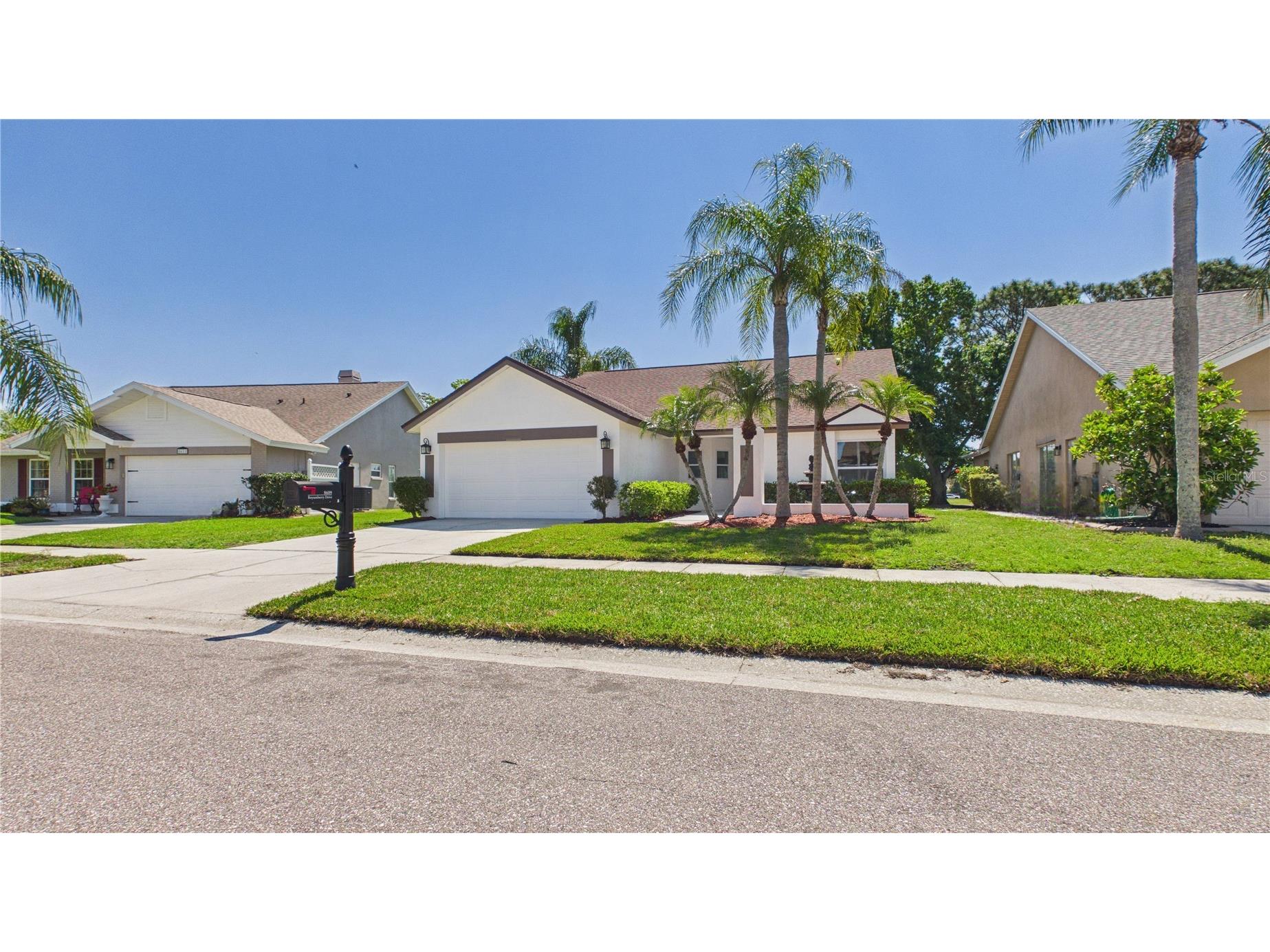 8609 Boysenberry Drive Tampa FL 33635 TB8494955 image7