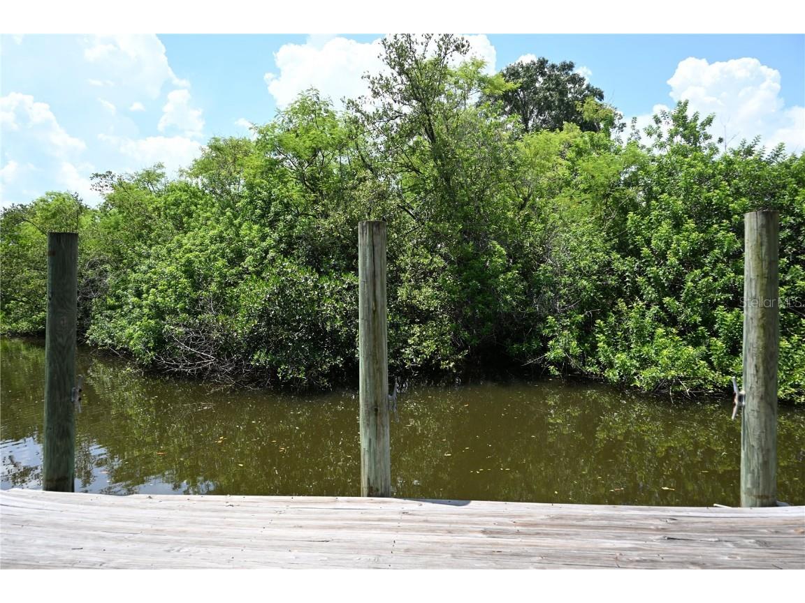 8609 Driftwood Drive Tampa FL 33615 TB8459808 image42