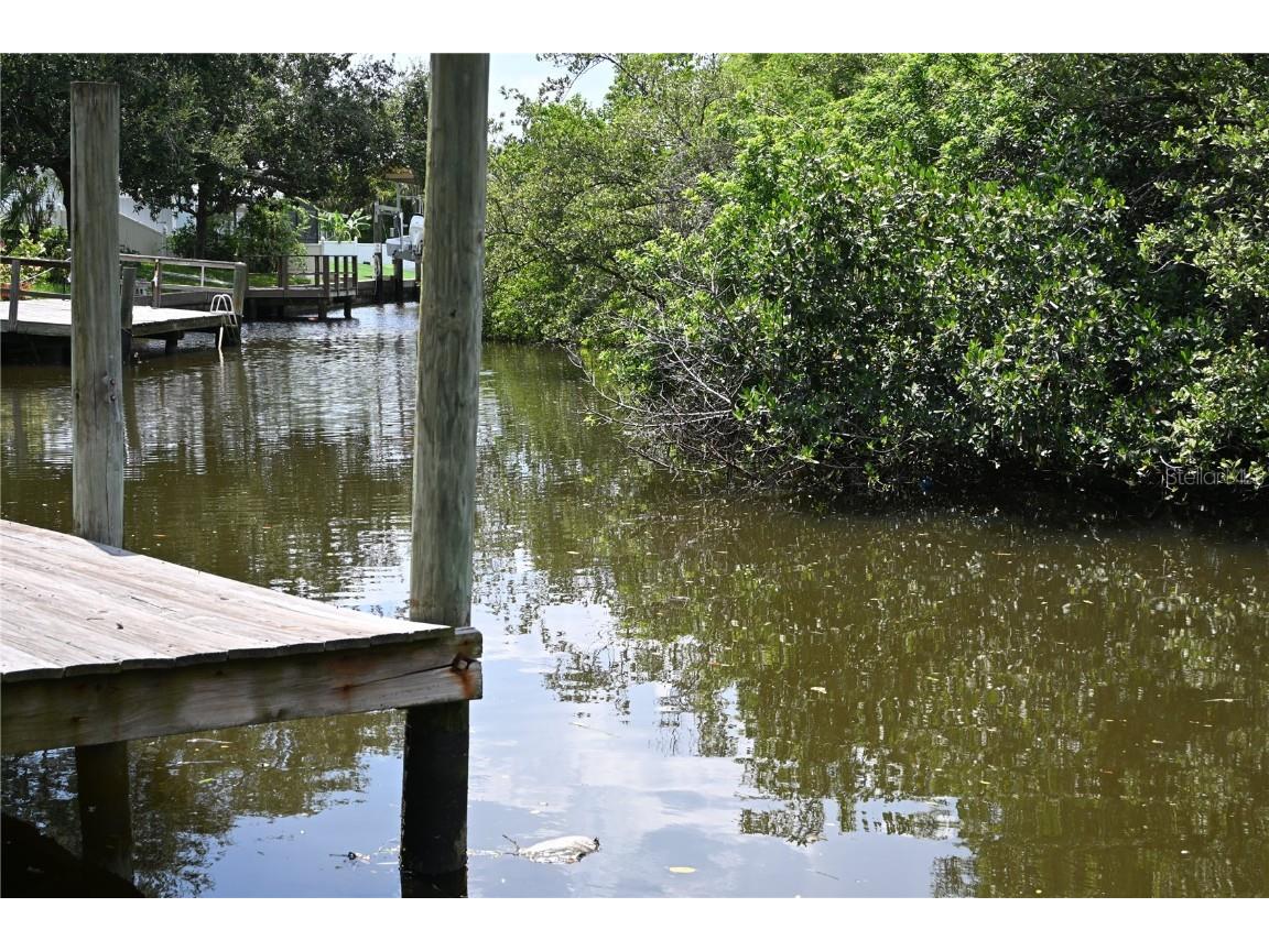 8609 Driftwood Drive Tampa FL 33615 TB8459808 image43