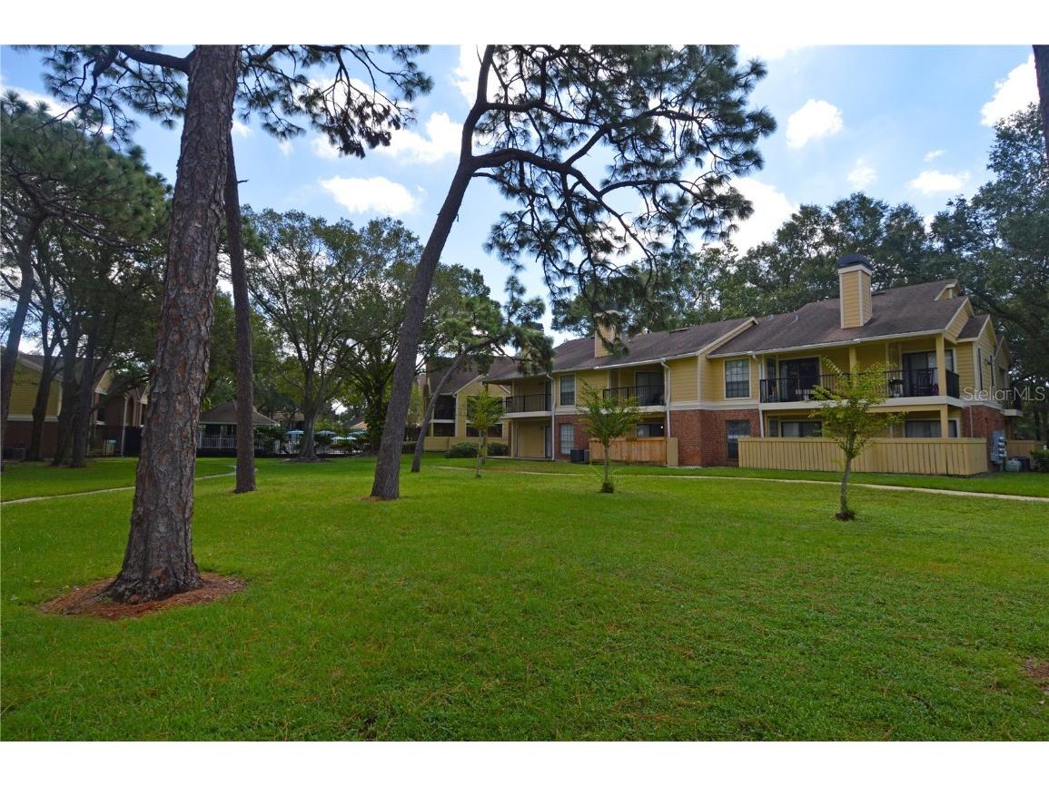 8609 Mallard Reserve Drive #101 Tampa FL 33614 TB8437696 image42