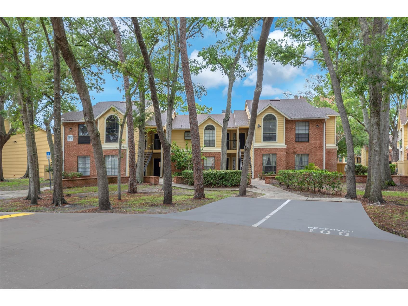 8609 Mallard Reserve Drive #203 Tampa FL 33614 TB8524573 image1