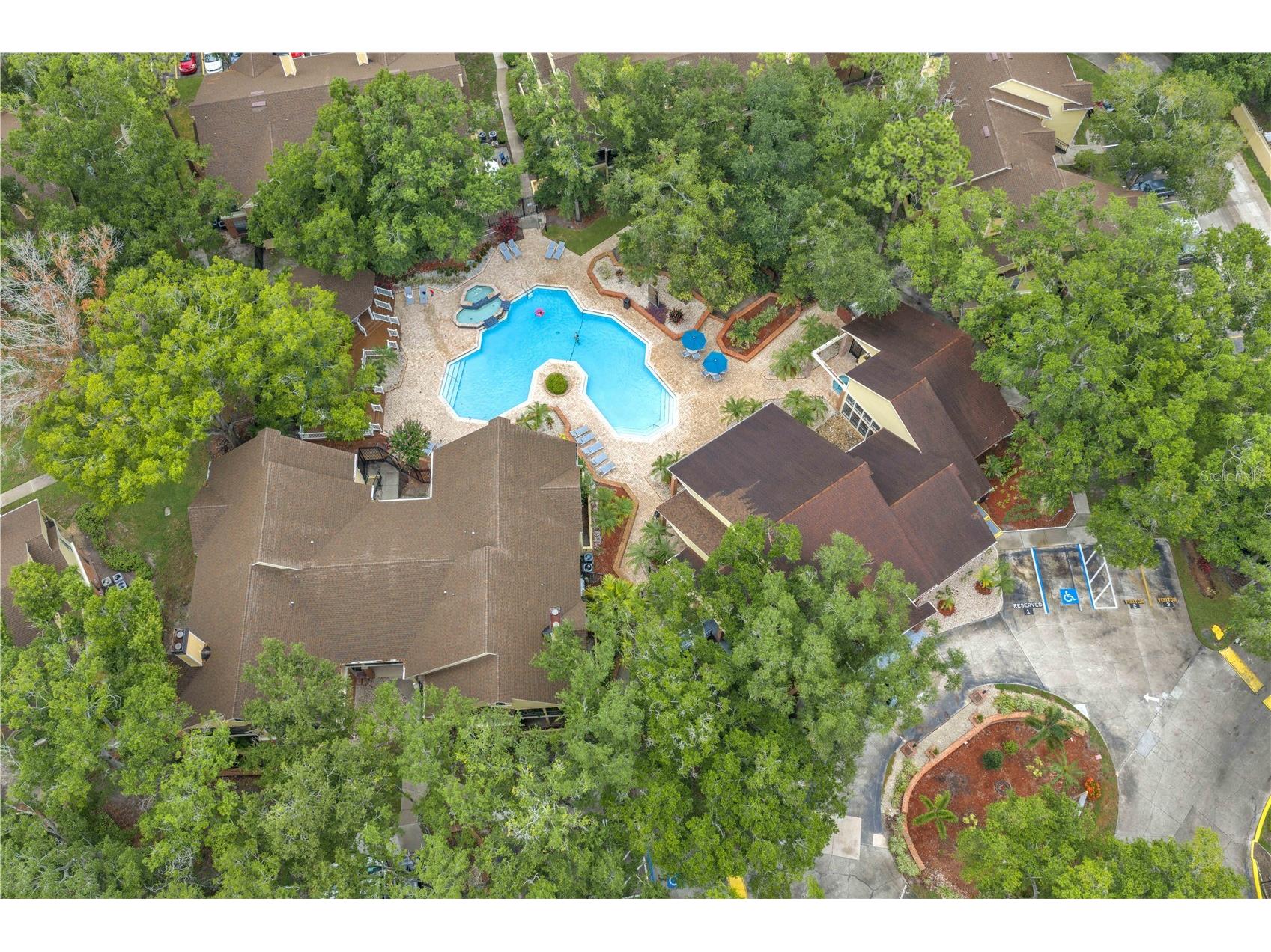 8609 Mallard Reserve Drive #203 Tampa FL 33614 TB8524573 image23