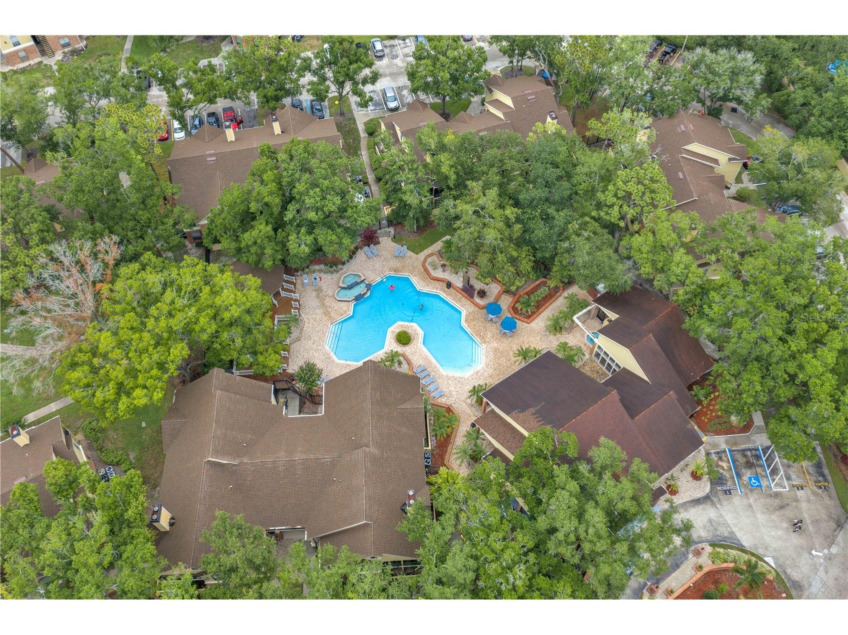 8609 Mallard Reserve Drive #203 Tampa FL 33614 TB8524573 image24