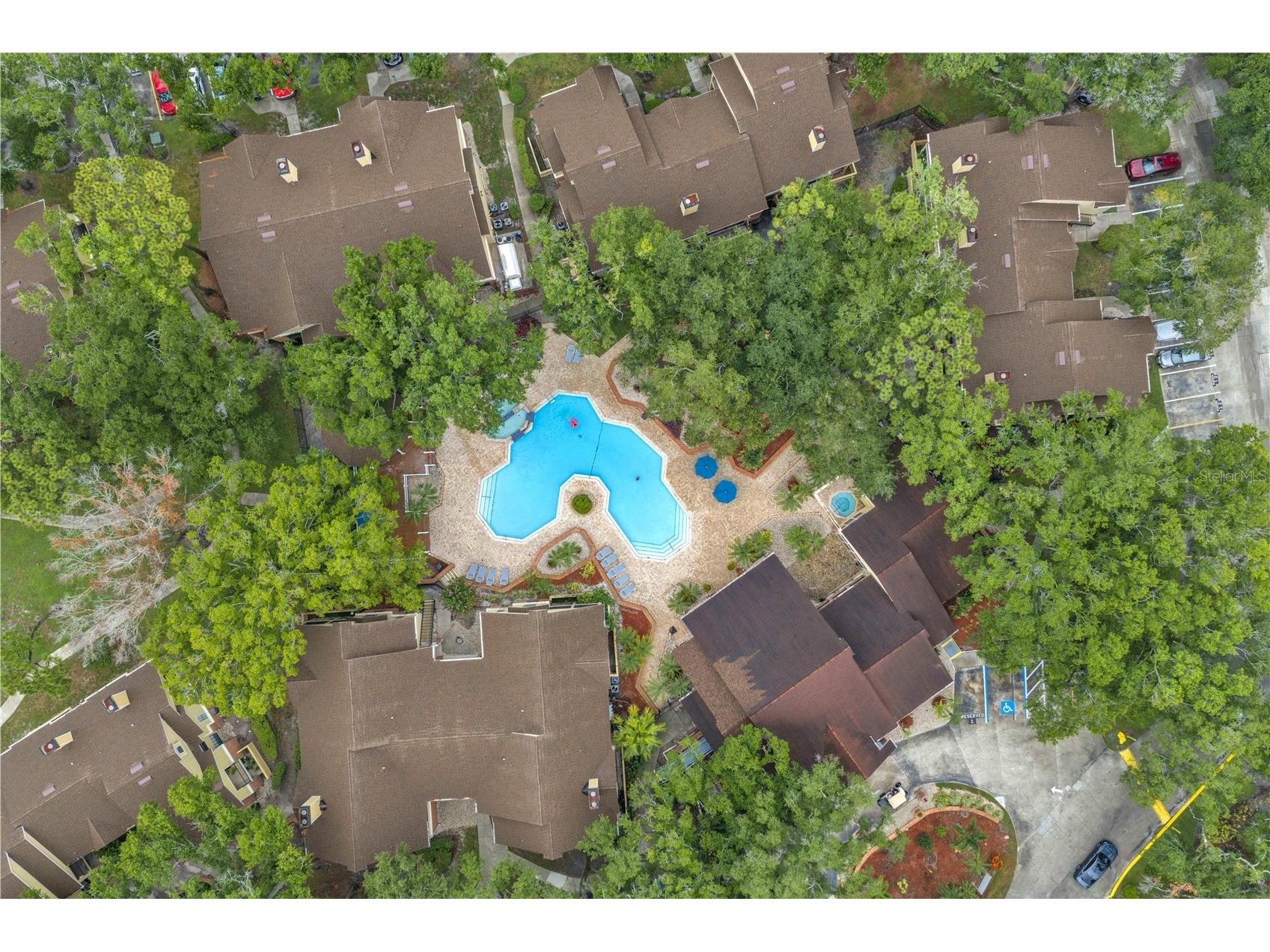 8609 Mallard Reserve Drive #203 Tampa FL 33614 TB8524573 image25