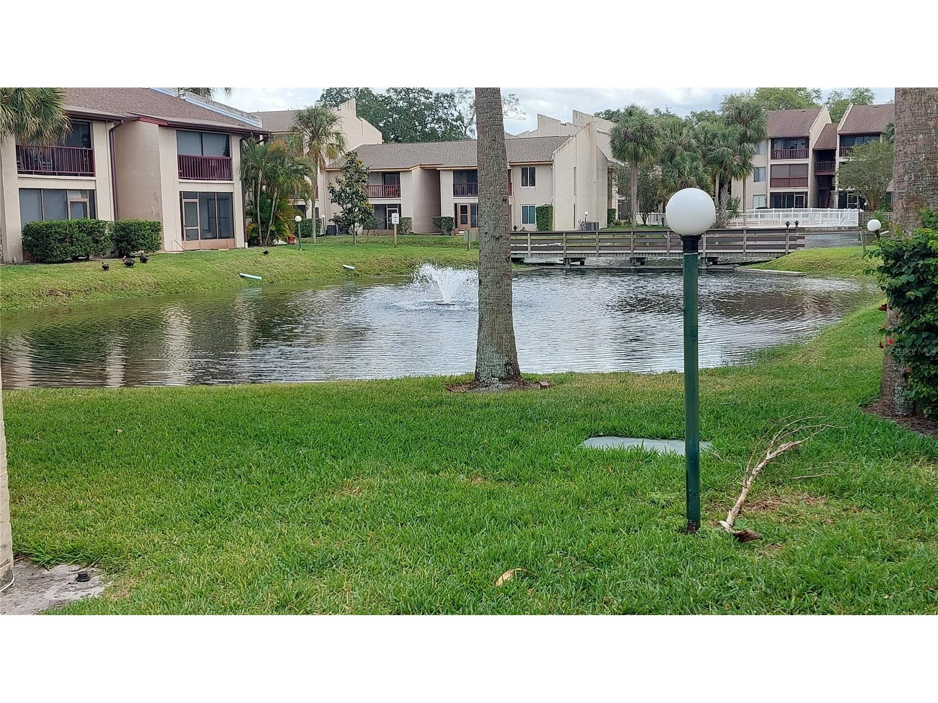 8609 N Champlain Court #77 Tampa FL 33614 TB8485716 image11