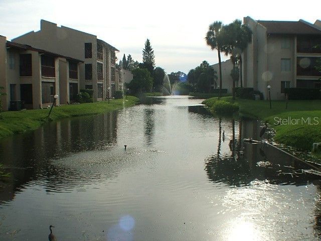 8609 N Champlain Court #77 Tampa FL 33614 TB8485716 image16