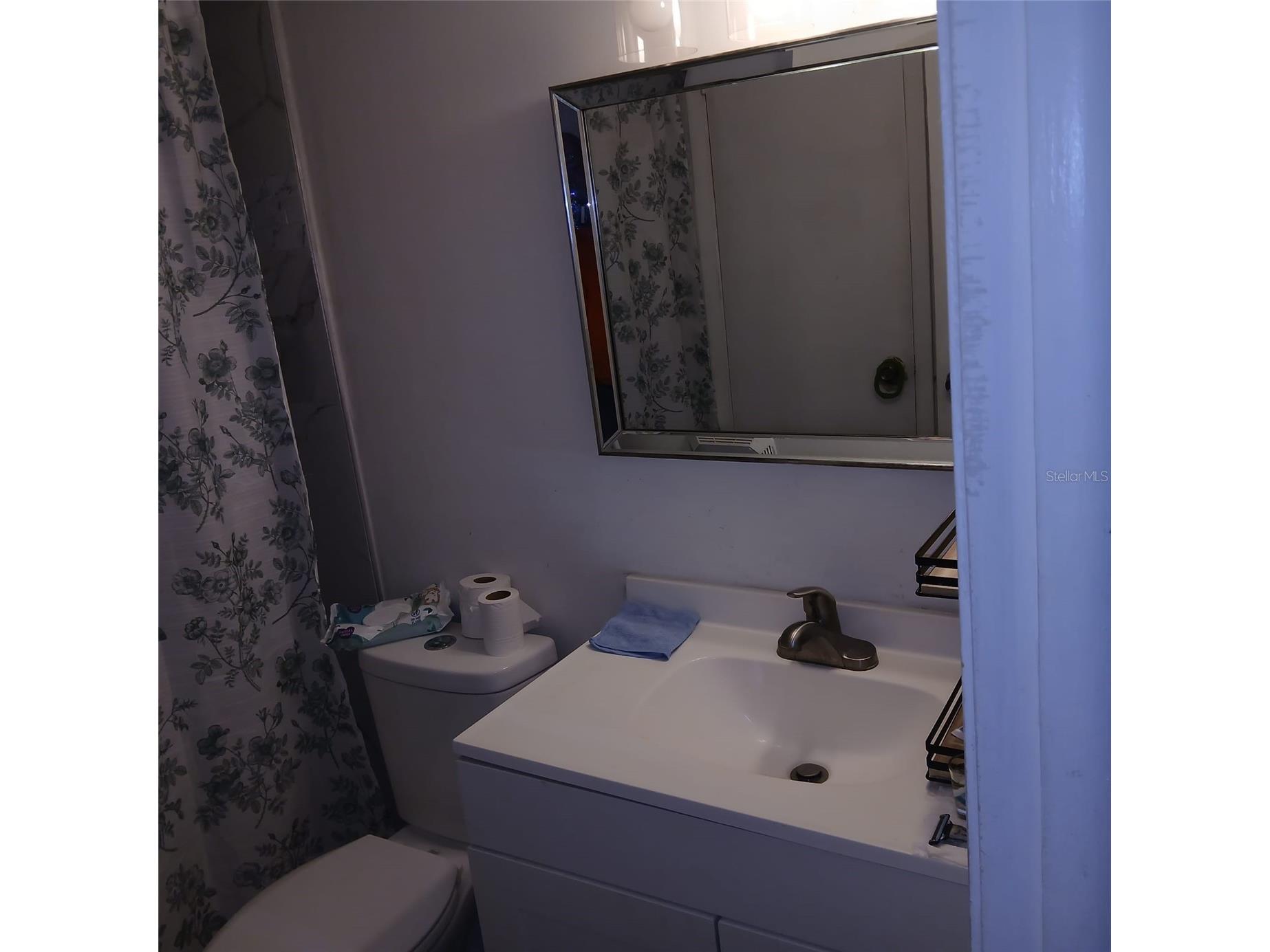 8609 N Champlain Court #77 Tampa FL 33614 TB8485716 image9