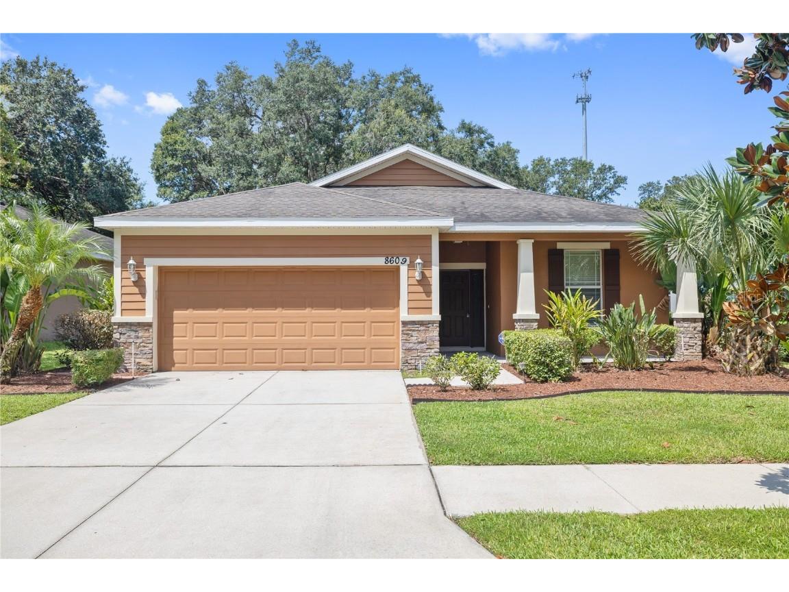 8609 Olive Moss Court Riverview FL 33569 T3465311 image1