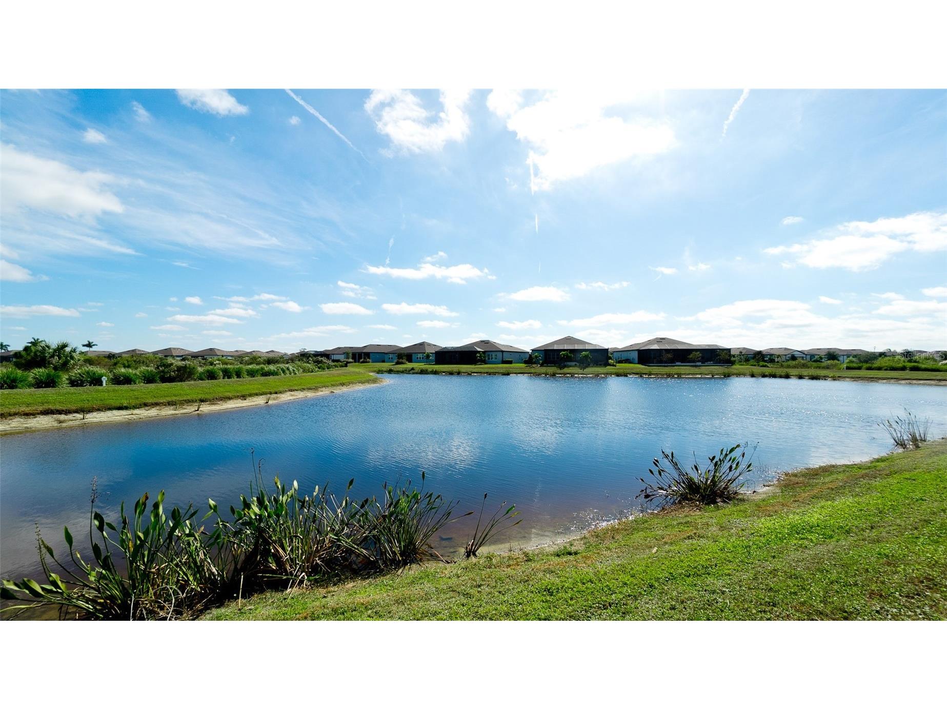 8609 Seascape Cove Parrish FL 34219 A4692435 image52