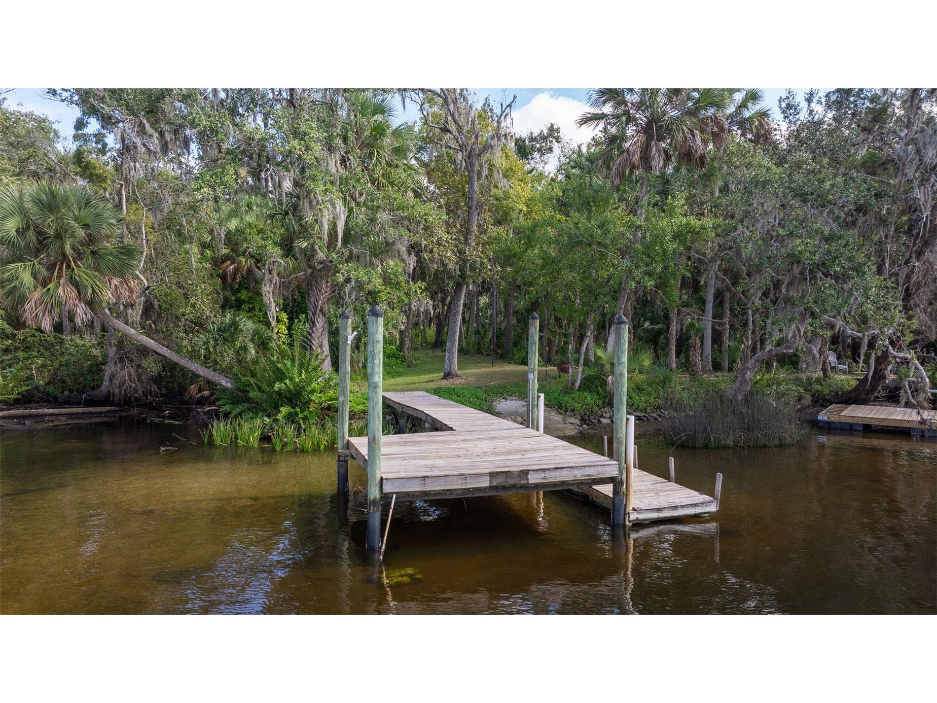 8609 Stoner Road Riverview FL 33569 - ALAFIA RIVER TB8444280 image3
