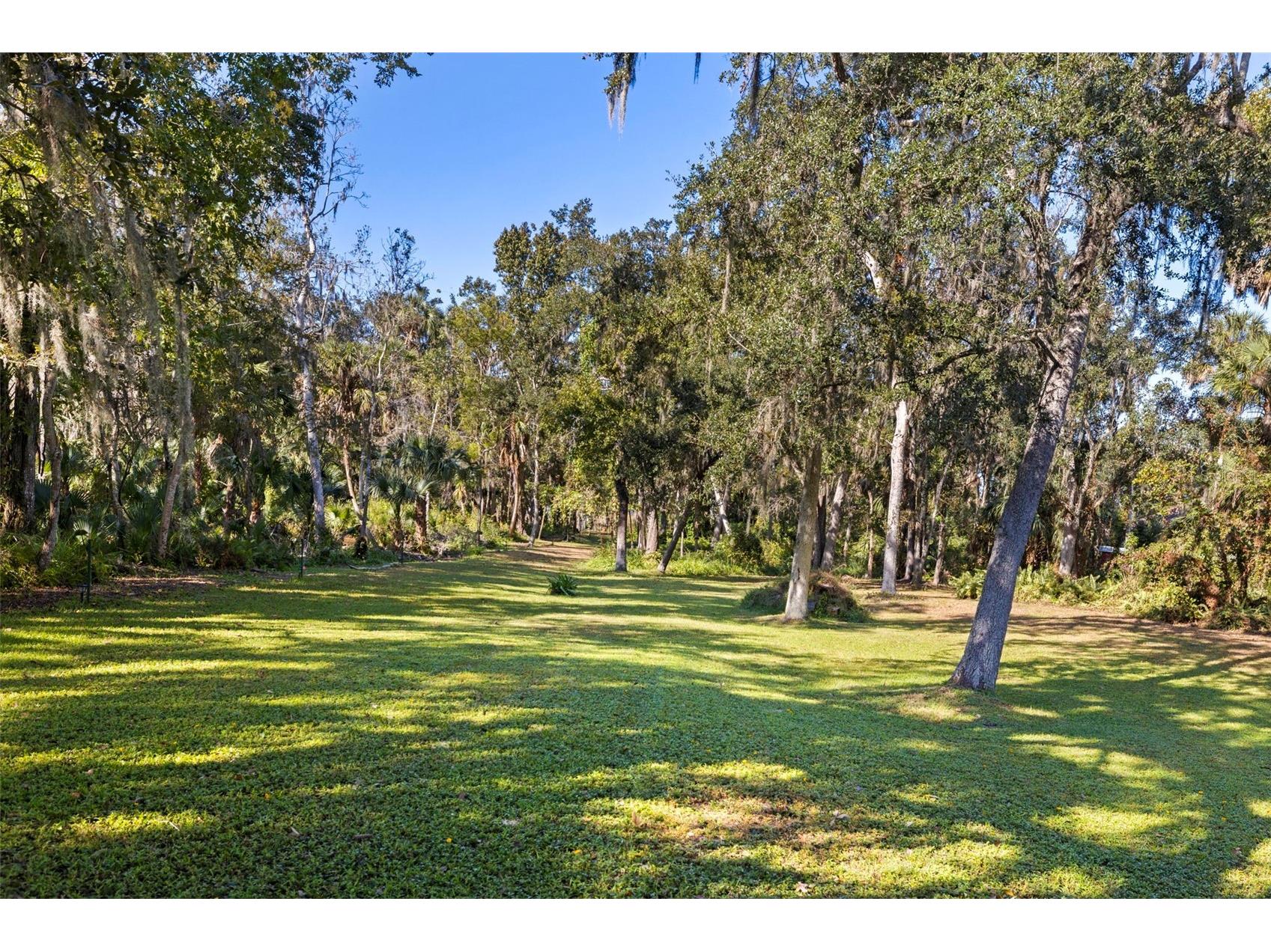 8609 Stoner Road Riverview FL 33569 - ALAFIA RIVER TB8444280 image44