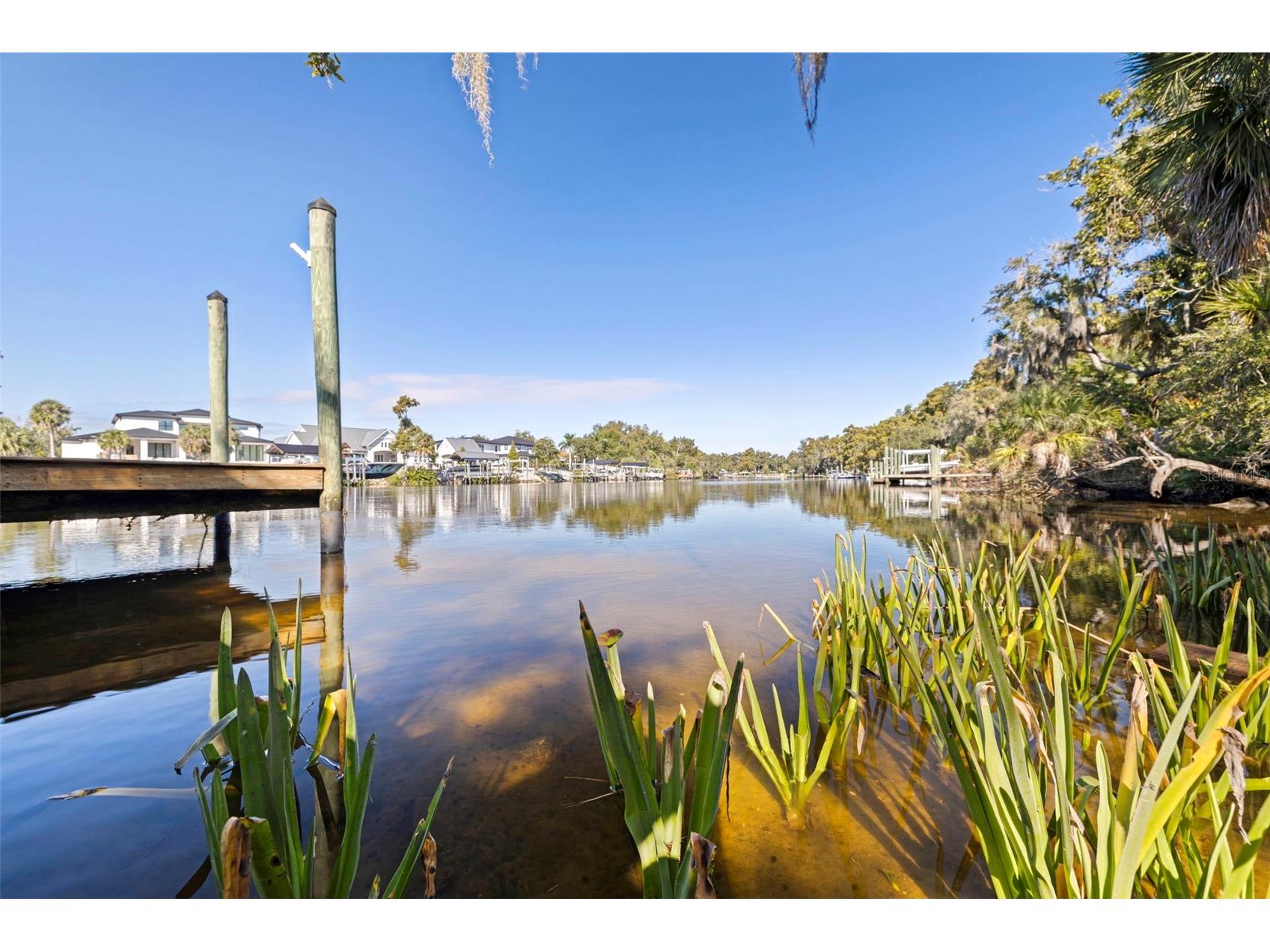8609 Stoner Road Riverview FL 33569 - ALAFIA RIVER TB8444280 image49