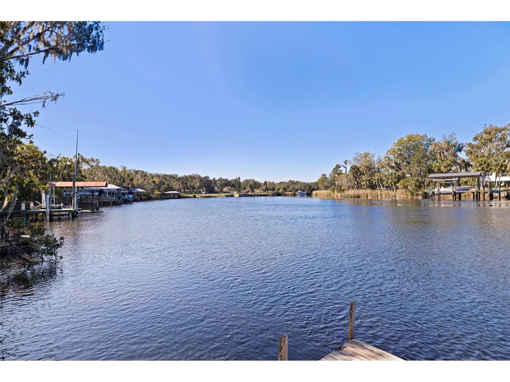 8609 Stoner Road Riverview FL 33569 - ALAFIA RIVER TB8444280 image51
