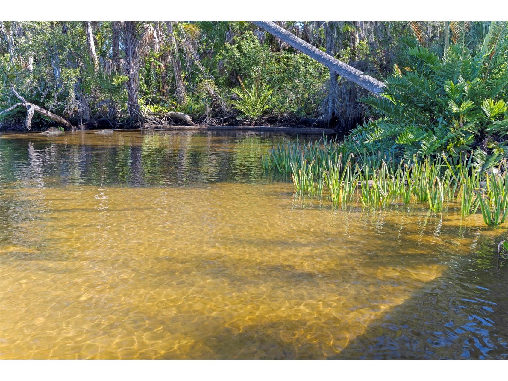 8609 Stoner Road Riverview FL 33569 - ALAFIA RIVER TB8444280 image53