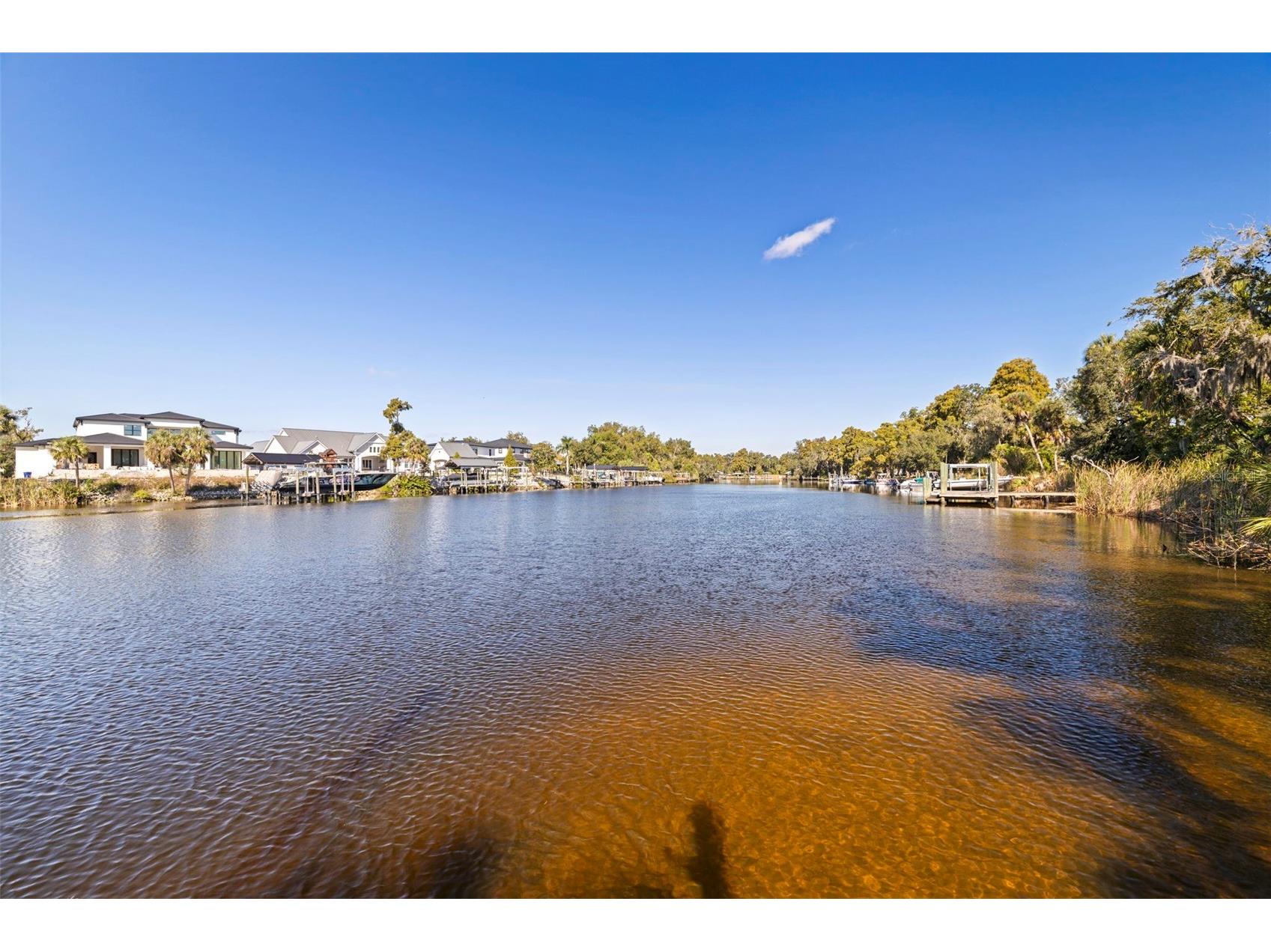 8609 Stoner Road Riverview FL 33569 - ALAFIA RIVER TB8444280 image54