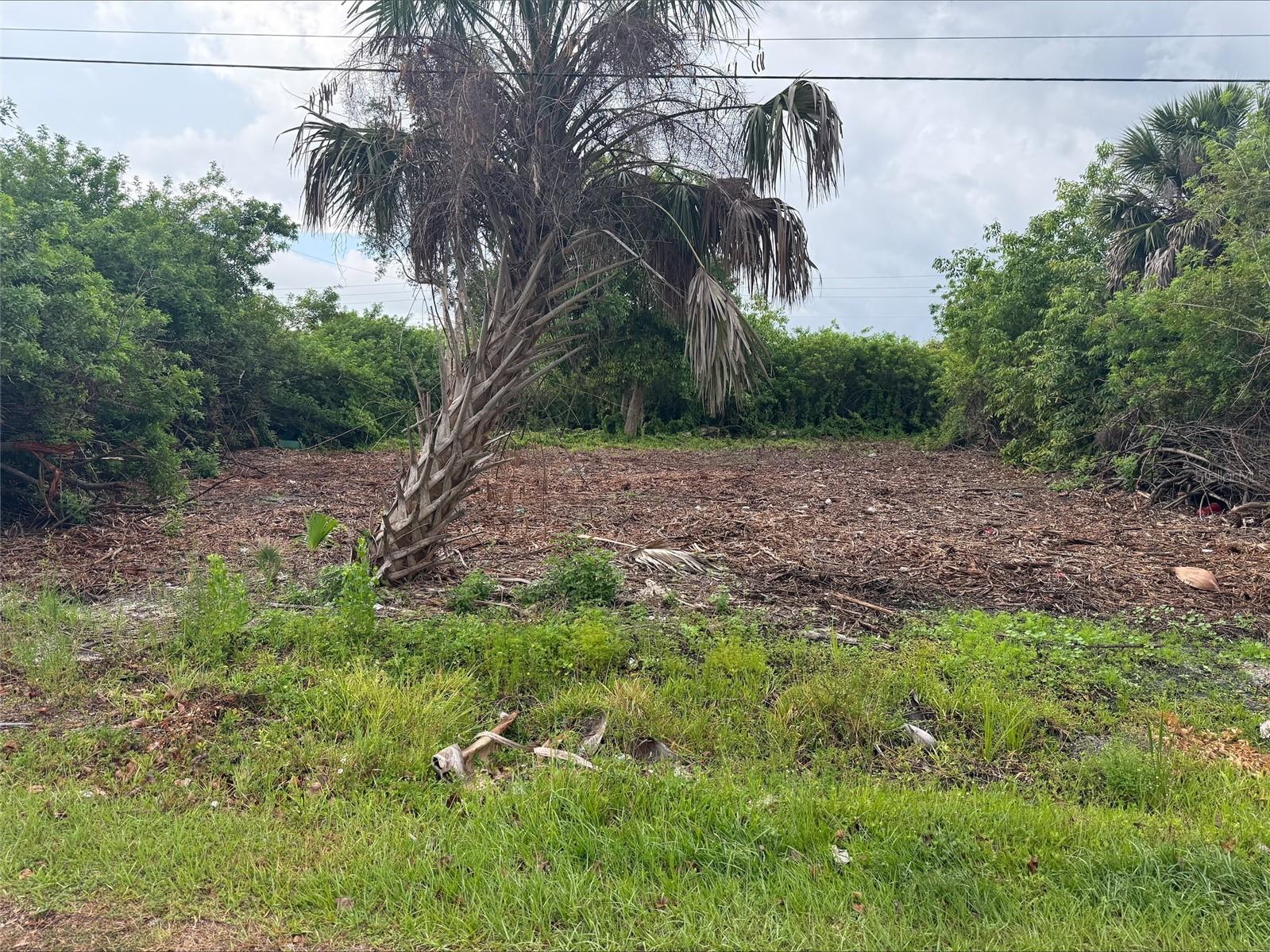 861 Burland Street Punta Gorda FL 33950 D6147474 image1