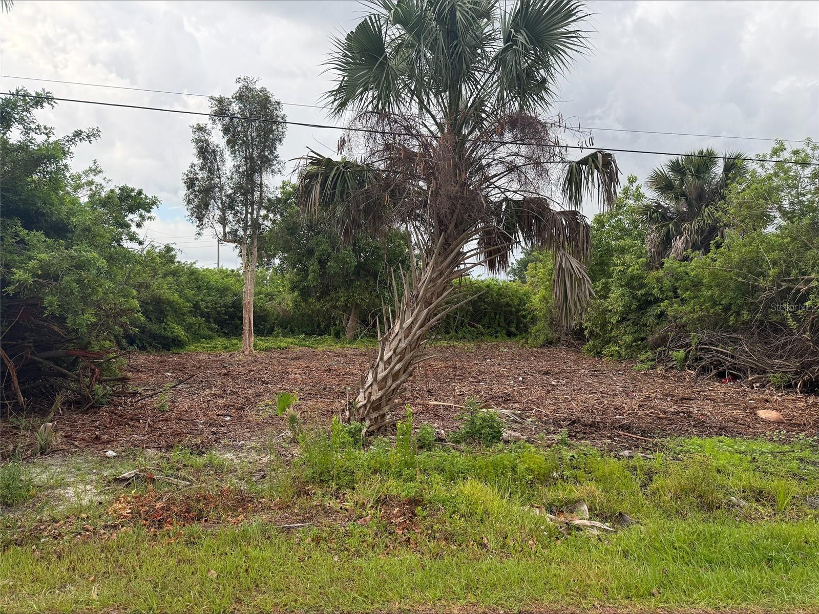 861 Burland Street Punta Gorda FL 33950 D6147474 image3