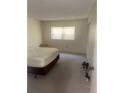 861 Maple Court #104 Dunedin FL 34698 TB8387410 image10